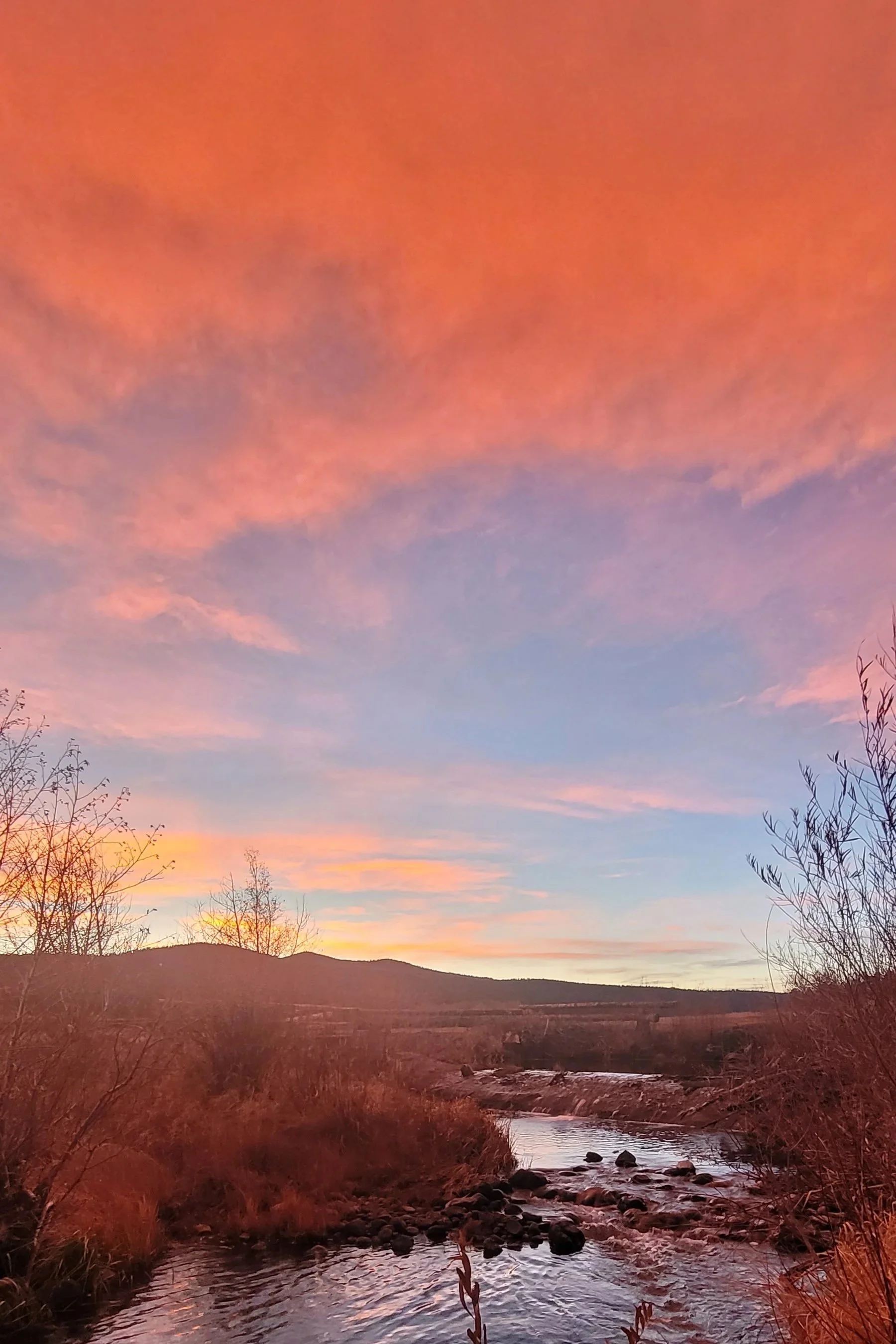 sunset2.jpg