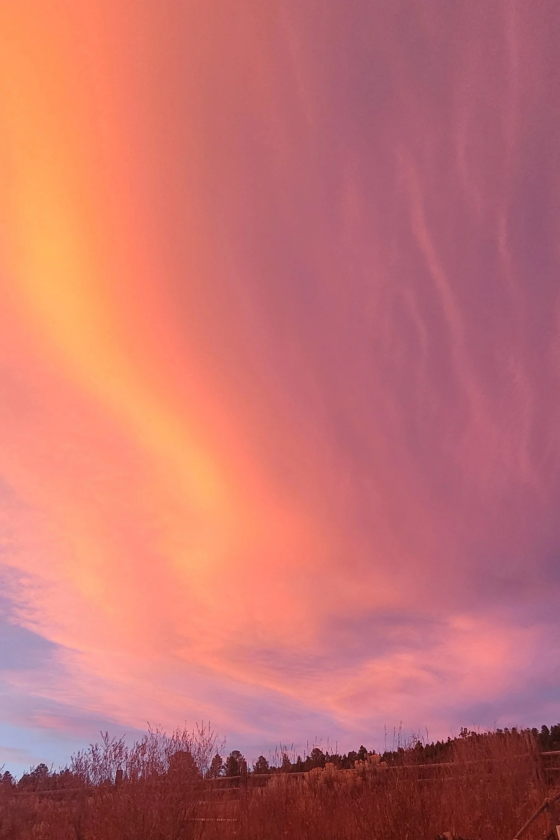 sunset3.jpg