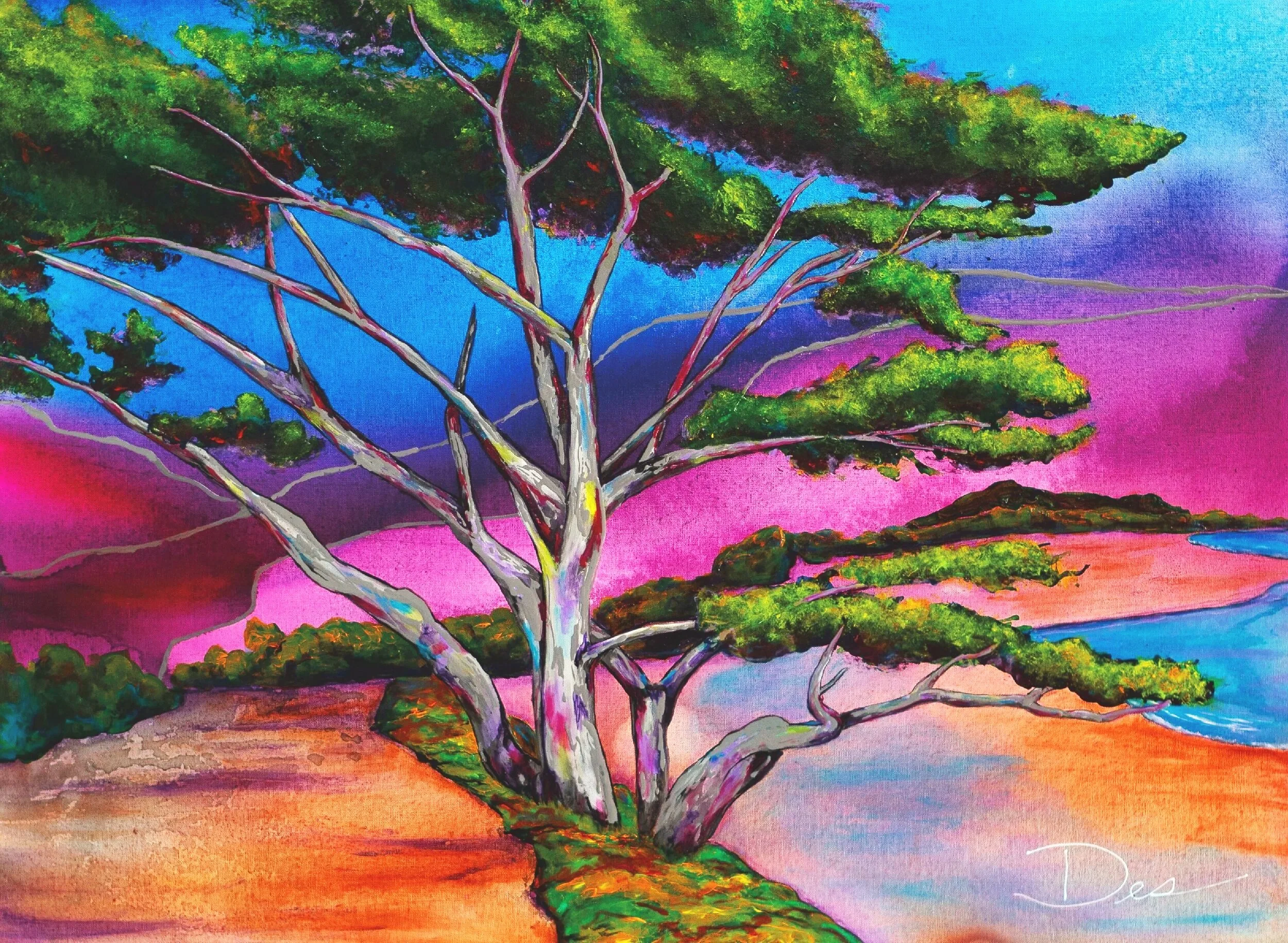 Tree in Carmel by the Sea