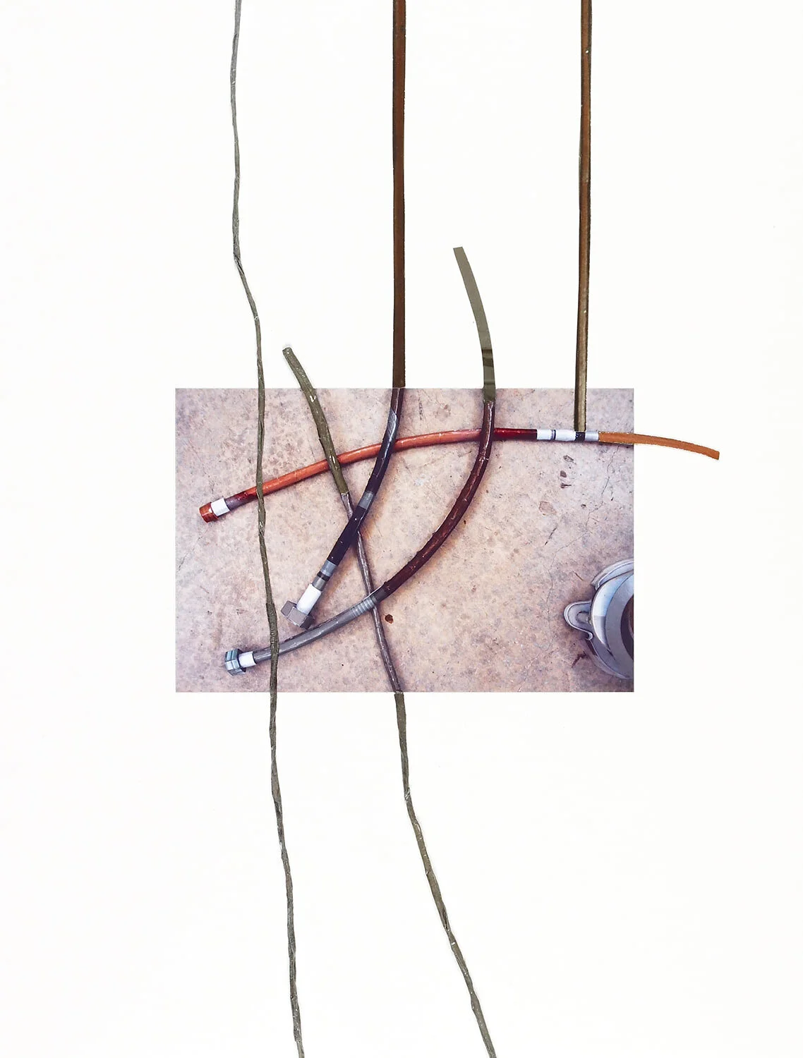 Vesania Brevis