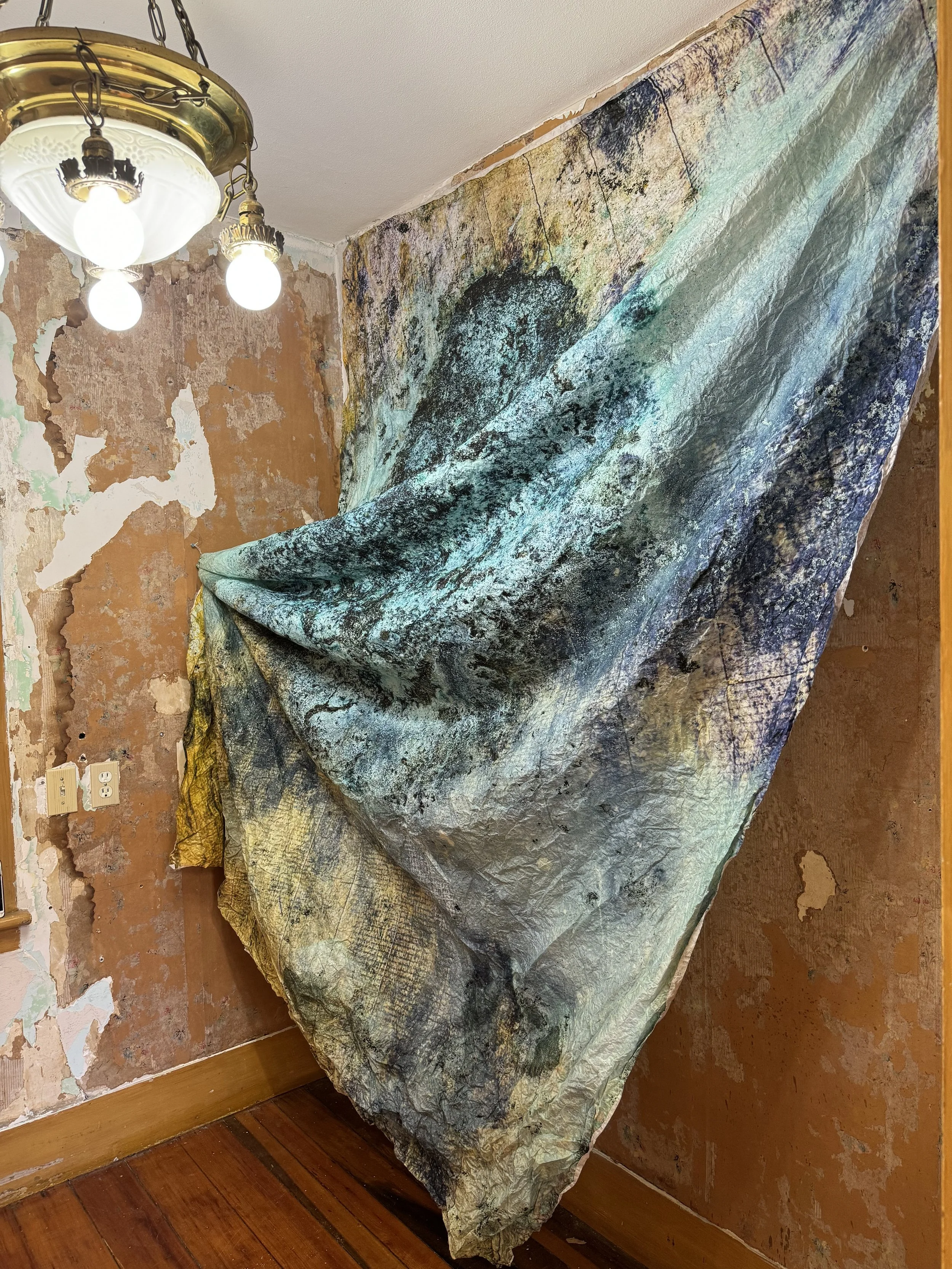 E C H O   Melissa Pokorny and Lucy Puls