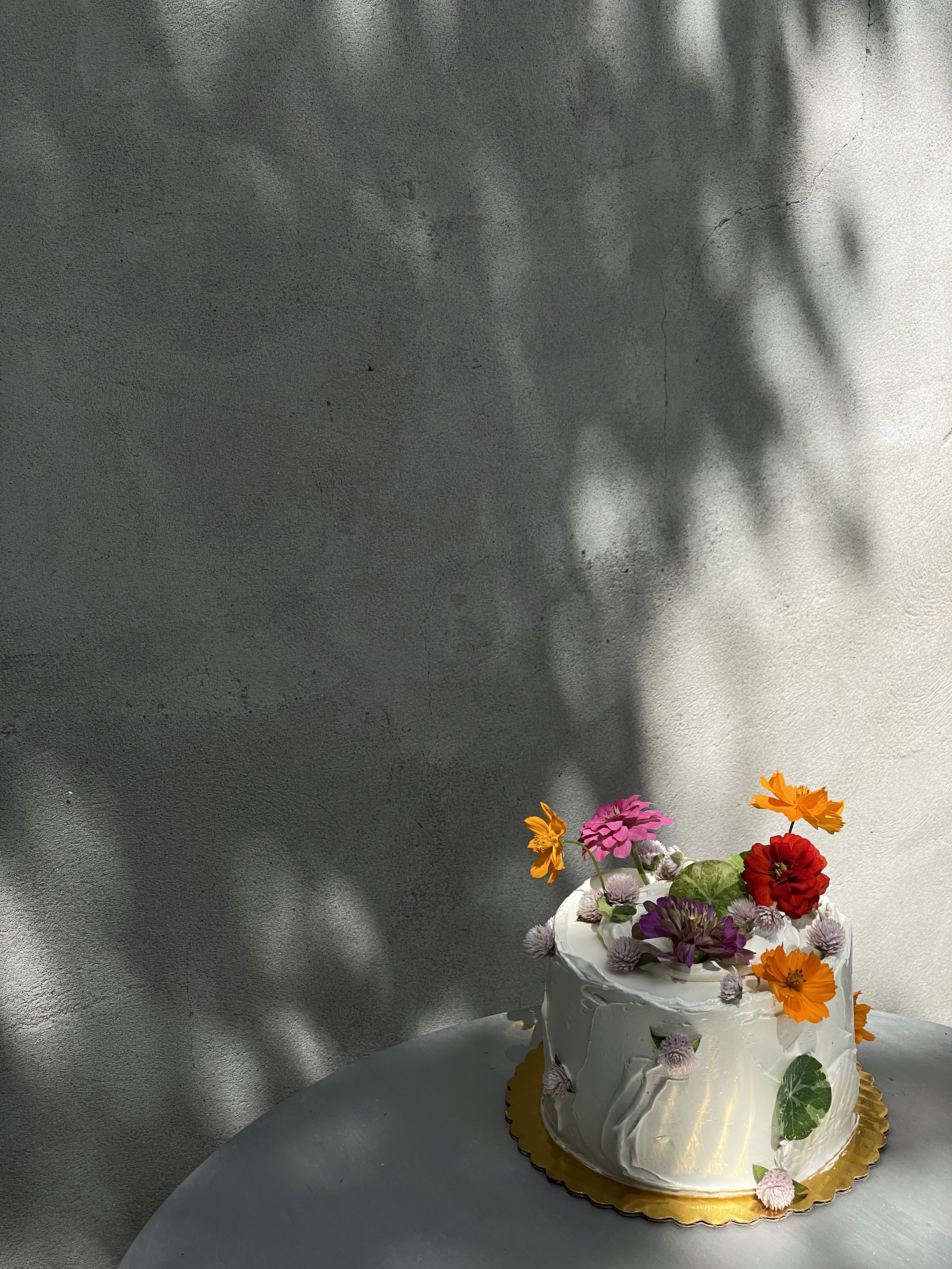 IMG_4773.png
