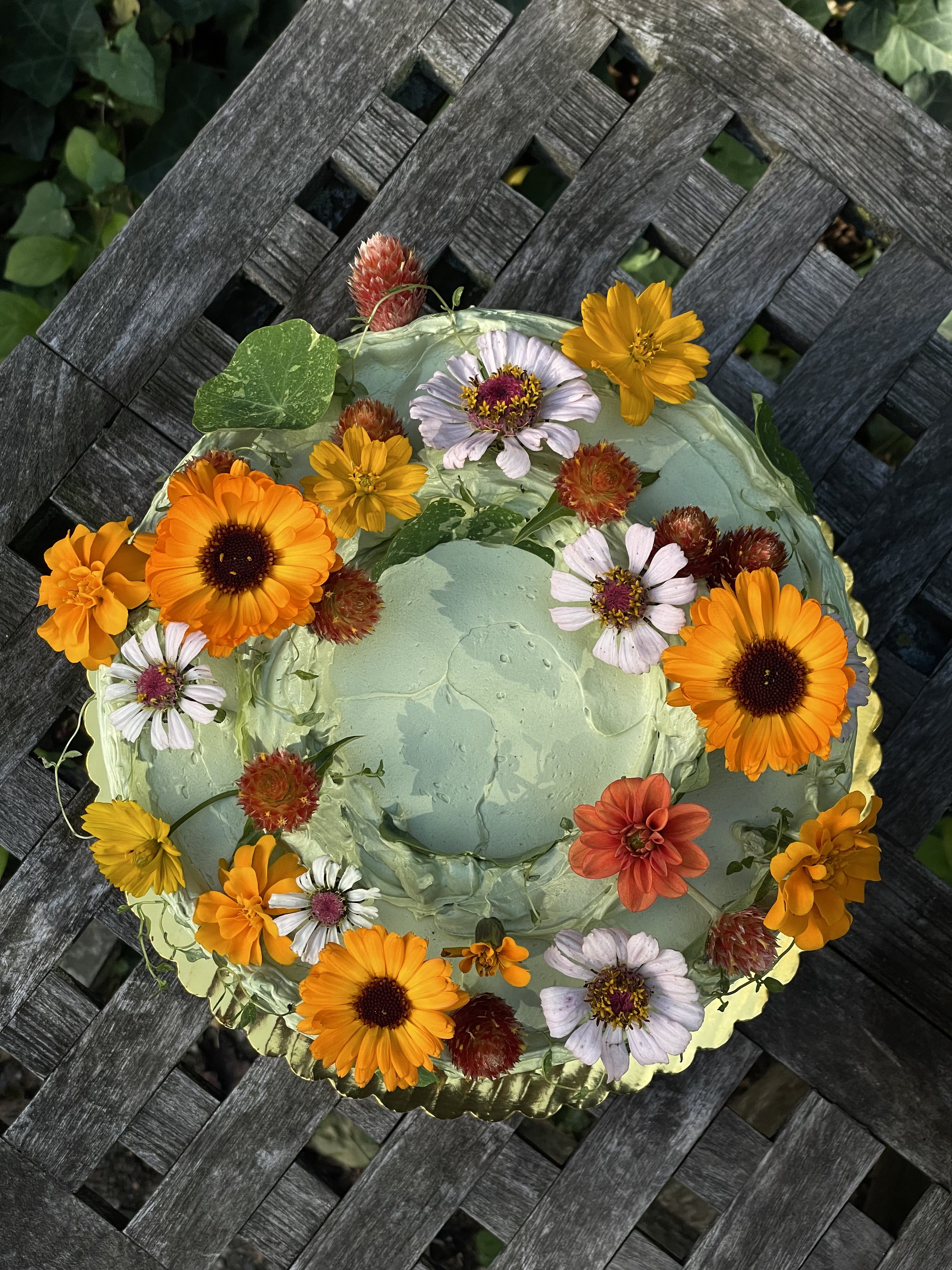 IMG_5767.png