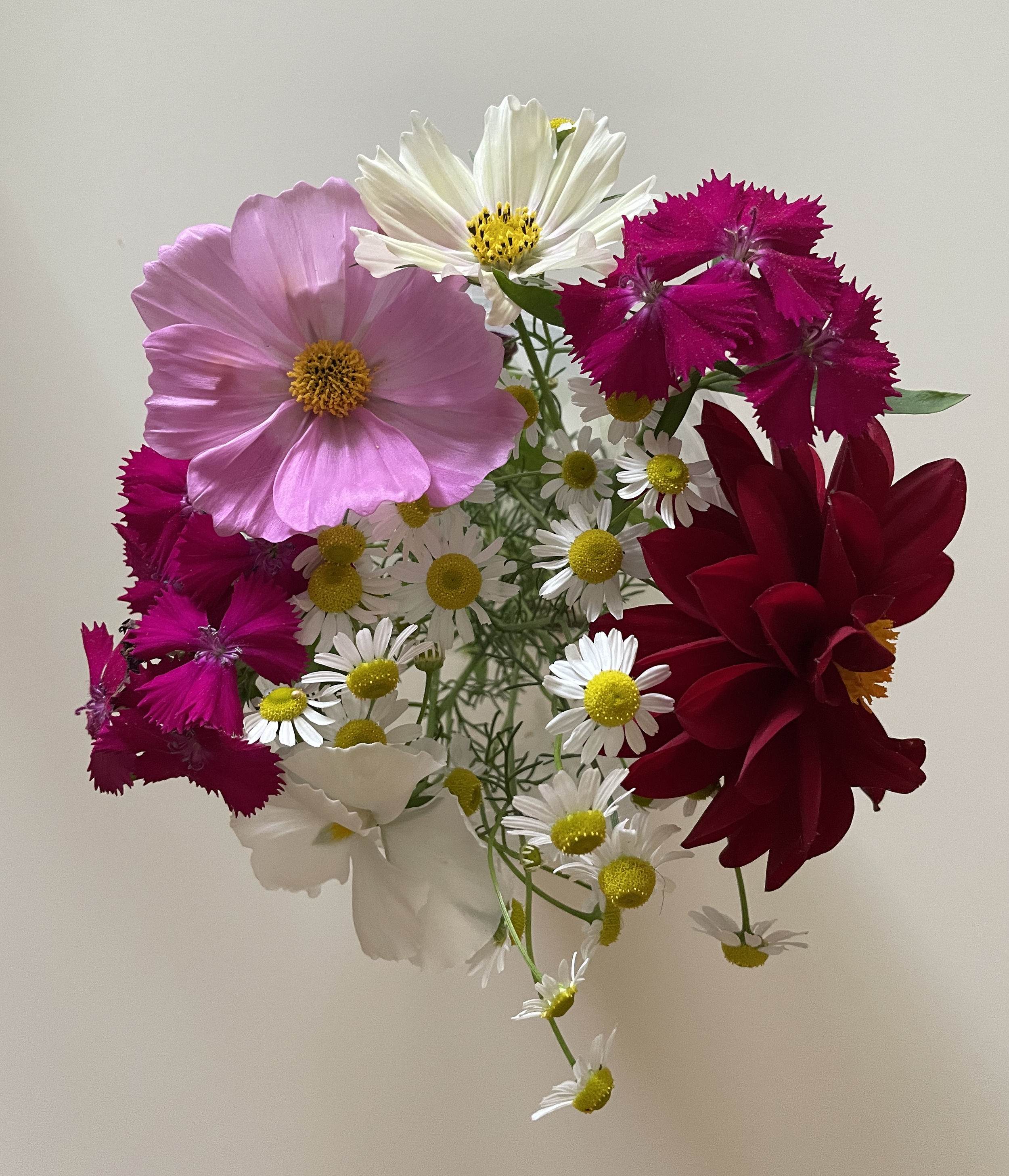 IMG_2775.png