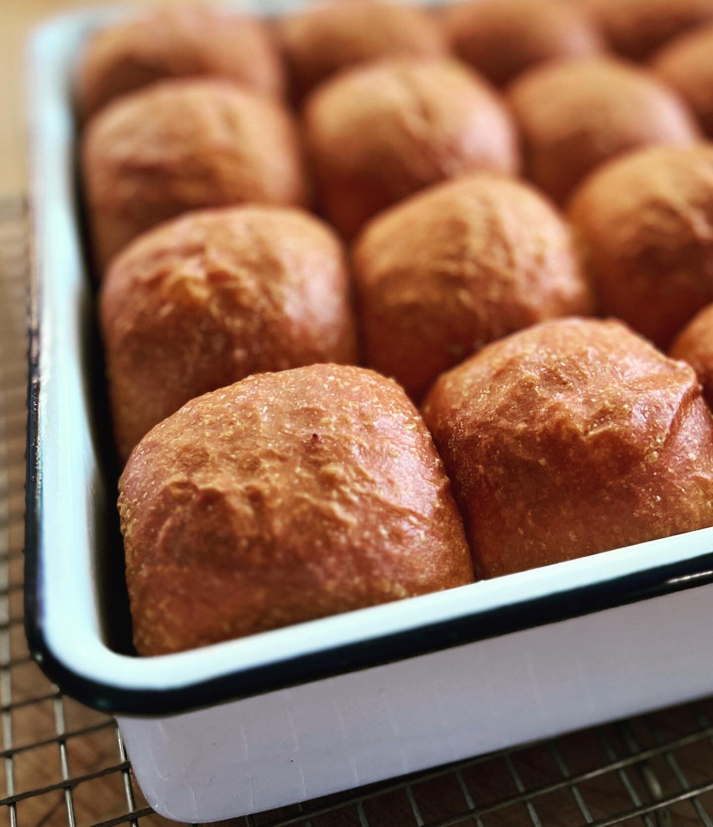 Love baking my Thanksgiving Potato Rolls in Falcon Enamelware&hellip;. This 9x9 square Falcon Enamelware Pan and others available at Langley Kitchen.  Swipe left ⬅️ for process photos.