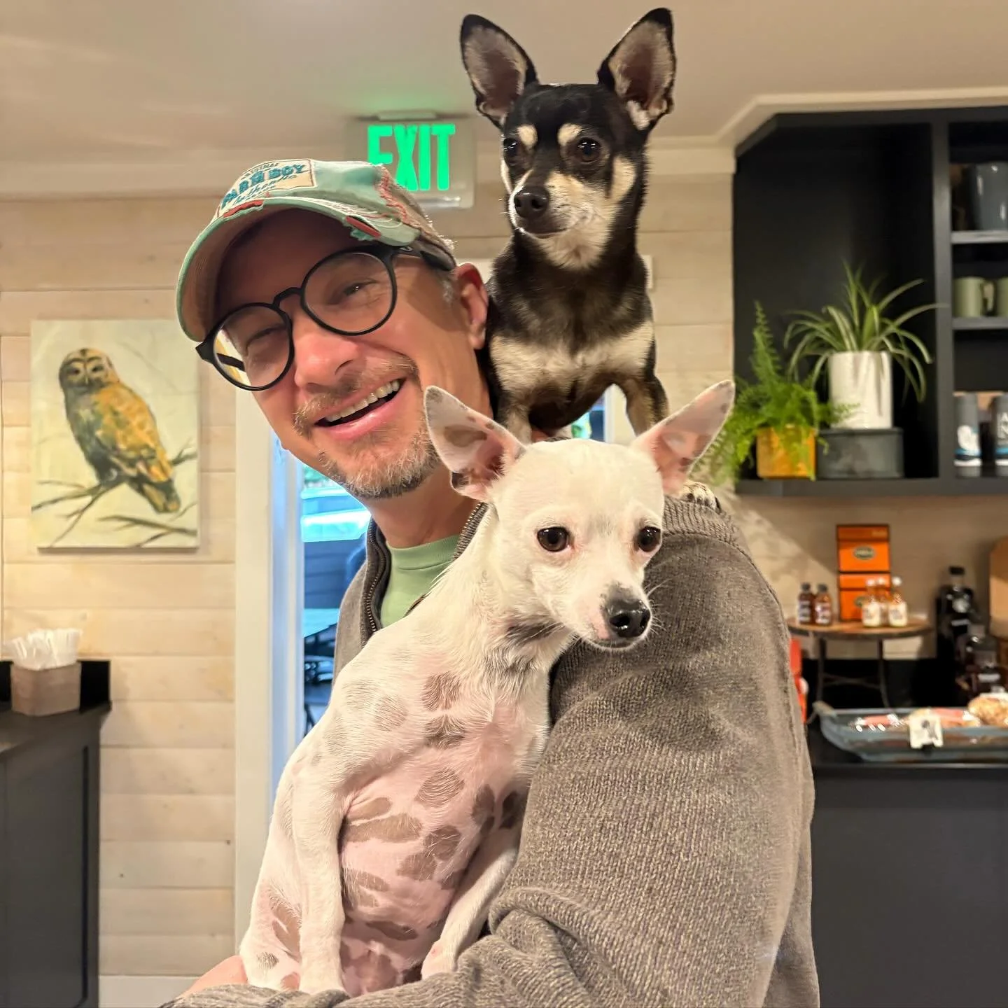 We love all our customers equally at Langley Kitchen&hellip; except maybe we love our canine friends a little extra?  Can you really blame us?

@milohasadventures #dogsoflangleykitchen