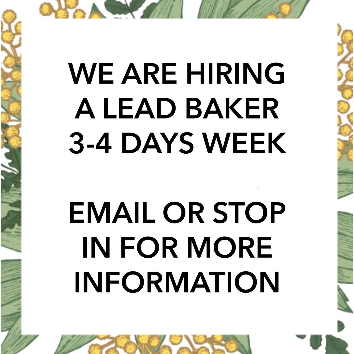 We&rsquo;re looking for a lead baker to join our team at Langley Kitchen! Three to five days per week with room for growth.  We also have space for an assistant baker, one to two afternoons per week. Email or stop by for a full job description and mo