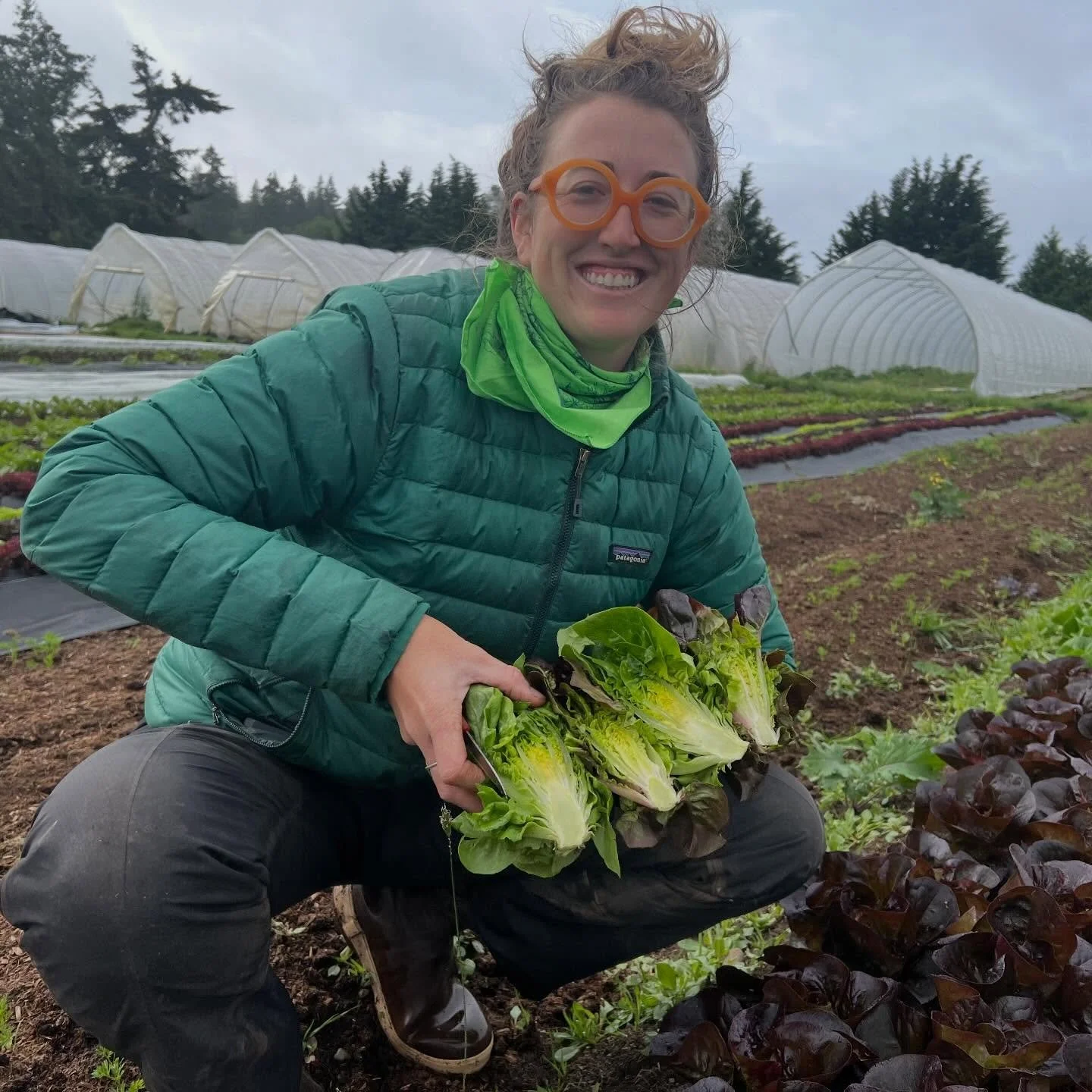 We have @foggyhillfarm mixed greens available in our Grab &amp; Go fridge again this summer! The perfect way to round out your meal! 
#langleykitchen