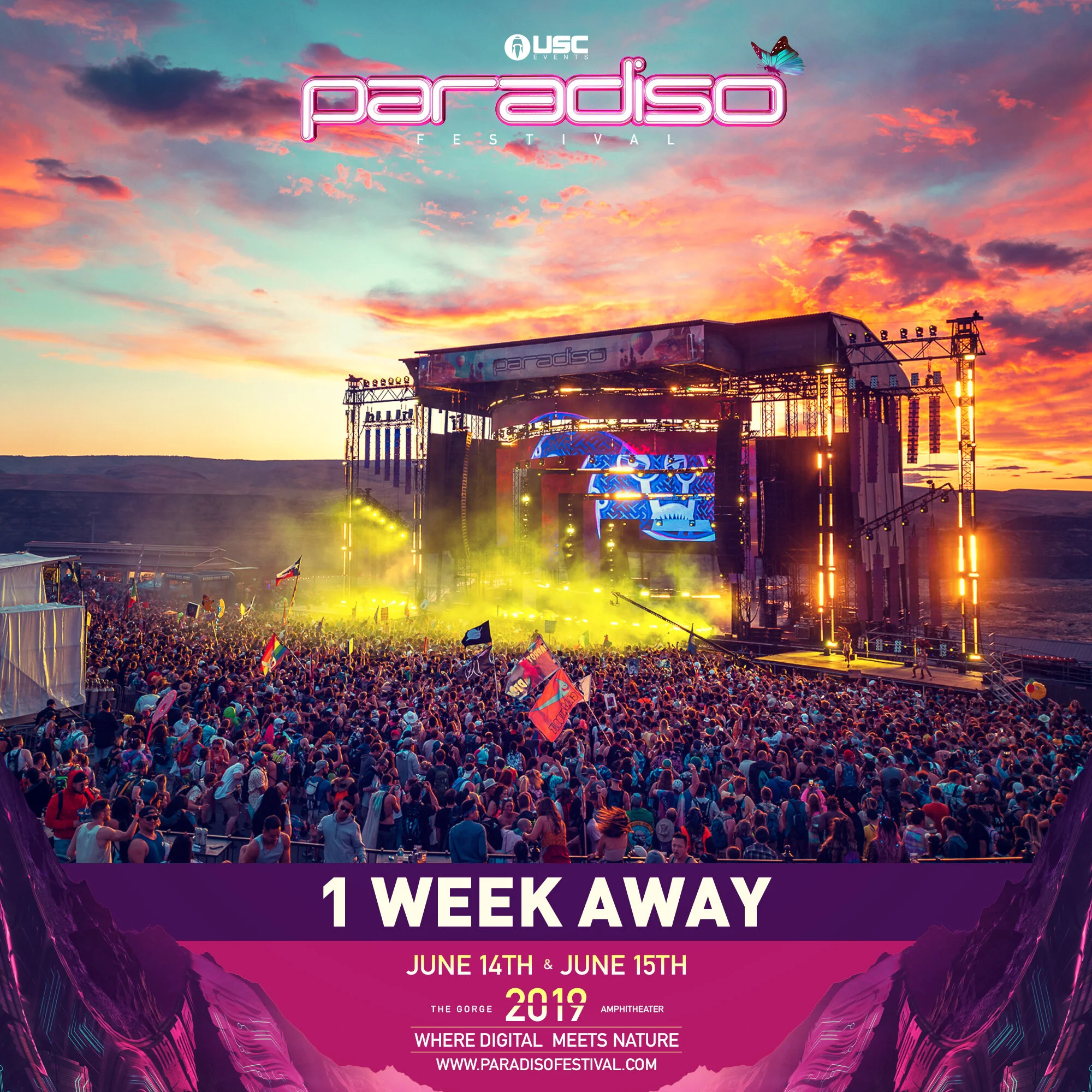 Paradiso2019_01Week_2000x2000.jpg