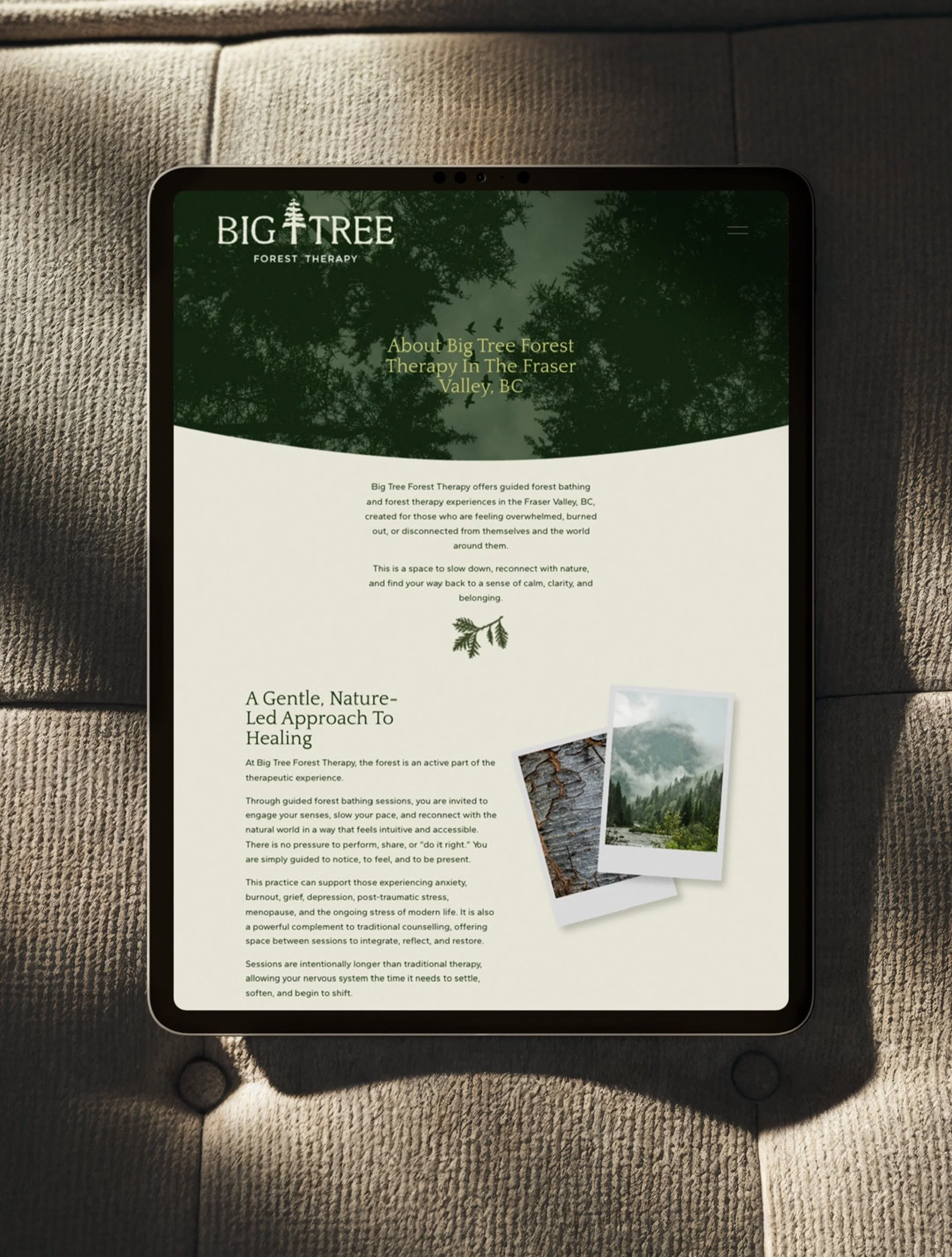 When I was approached by Diana to create a forest therapy and forest bathing brand and website, I knew we wanted something that felt authentic, immersive, organic, and steady. 

Wobbly edges, traditional serif, illustrations from nature, and moody, t
