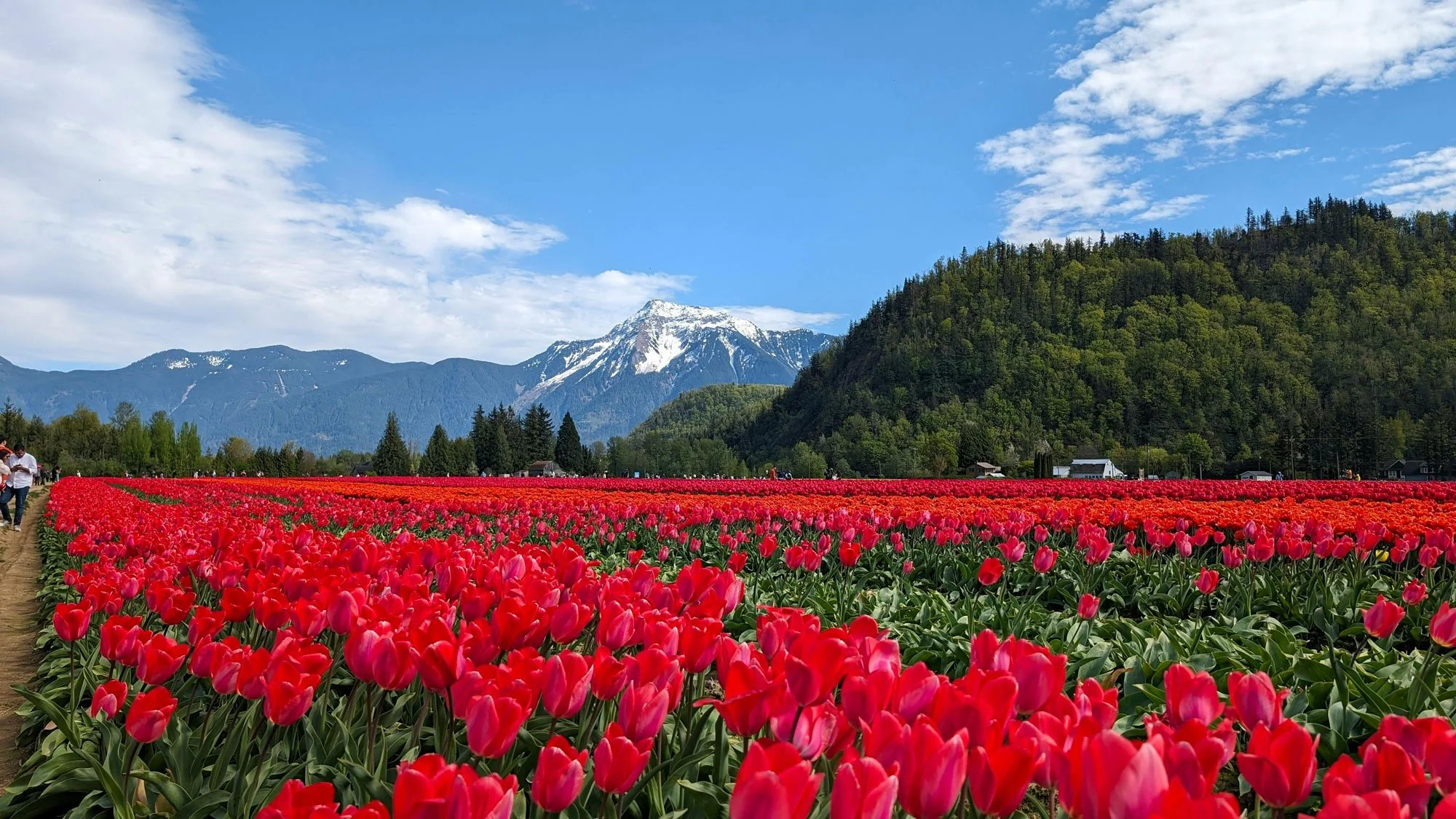 Fraser Valley Web Design: A Local Guide to Building a Business Website That Works