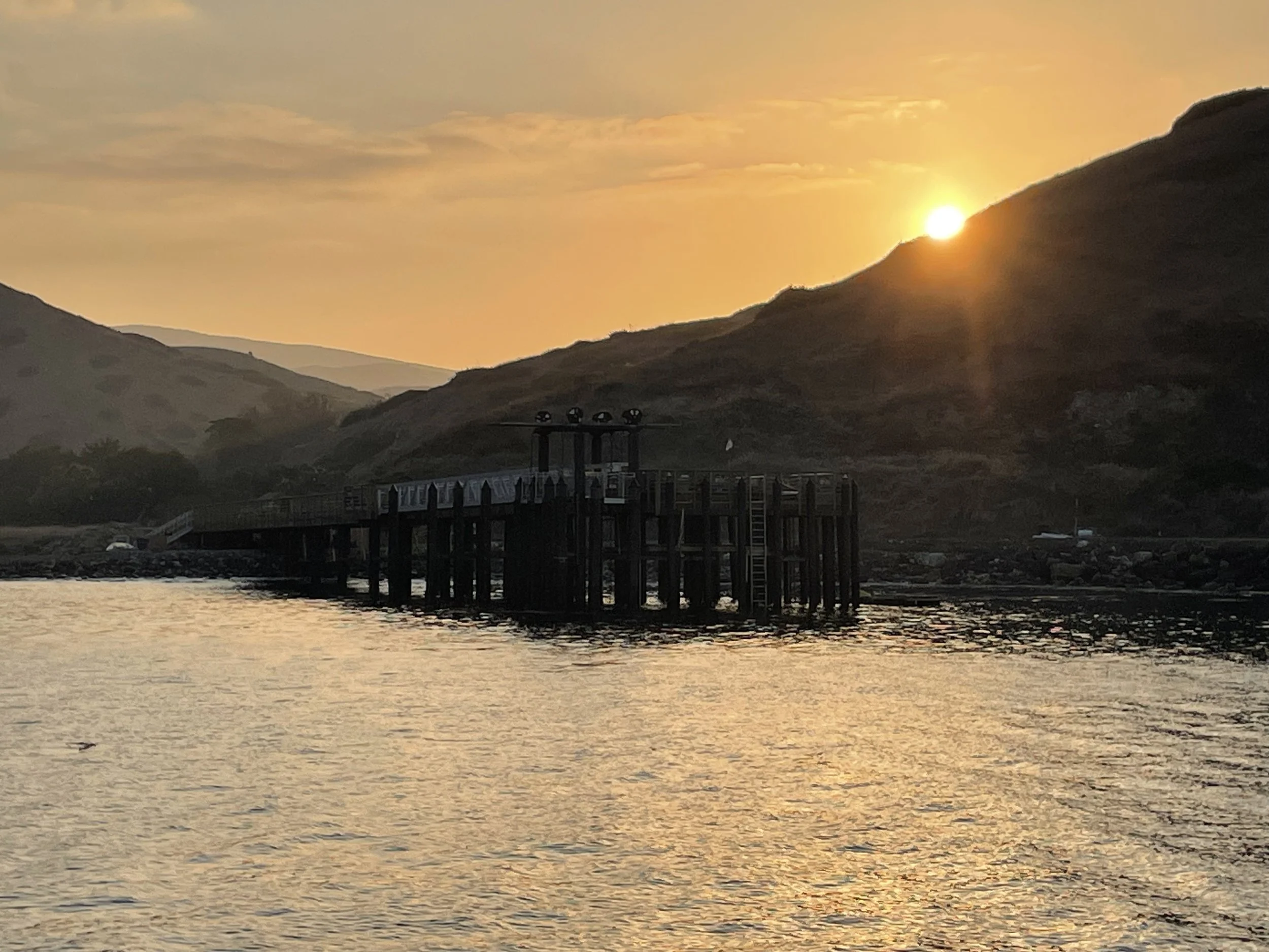 The Mainsheet - January 2026 