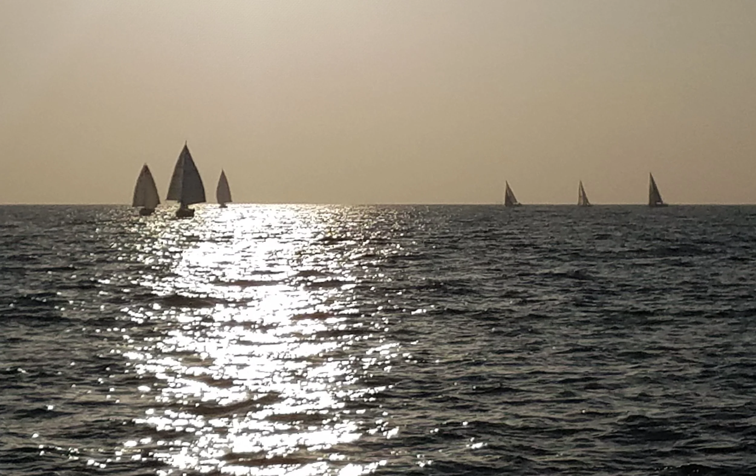 General Meeting &amp; Dinner