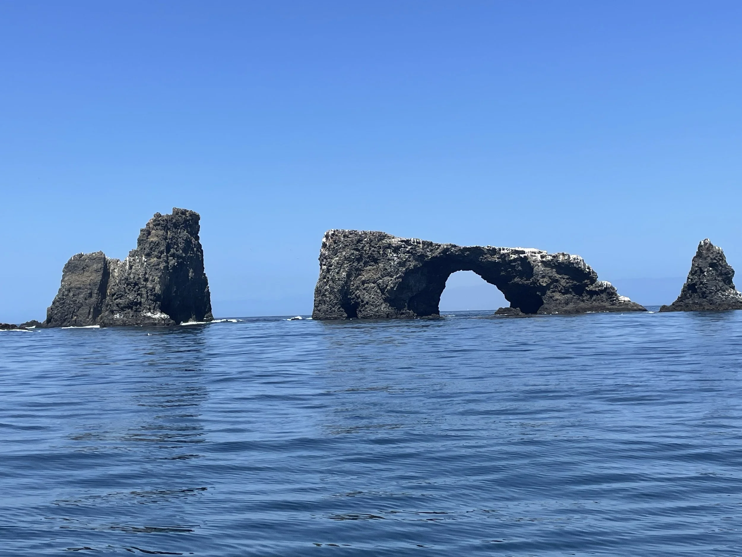 Anacapa to Port Race 