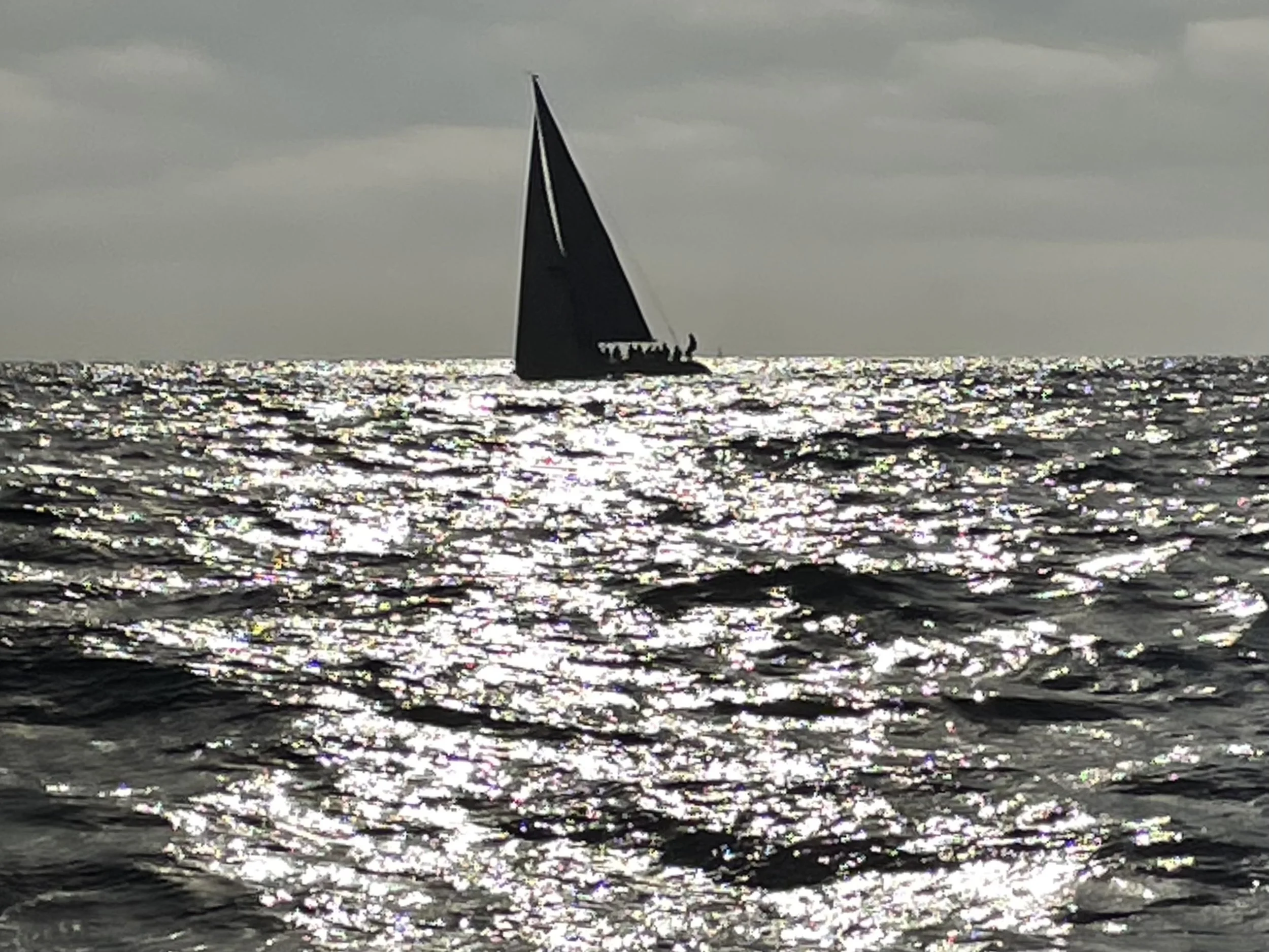 IMG_2545.jpeg