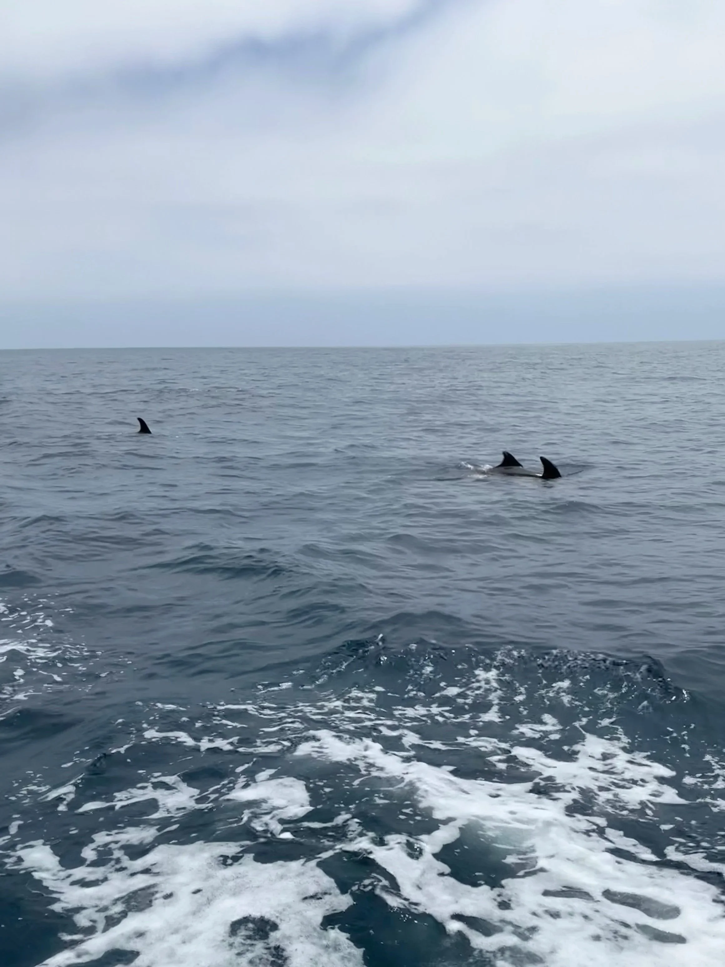 The Mainsheet - September 2026 