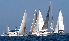 AYC Membership RACING LITE -    1 year