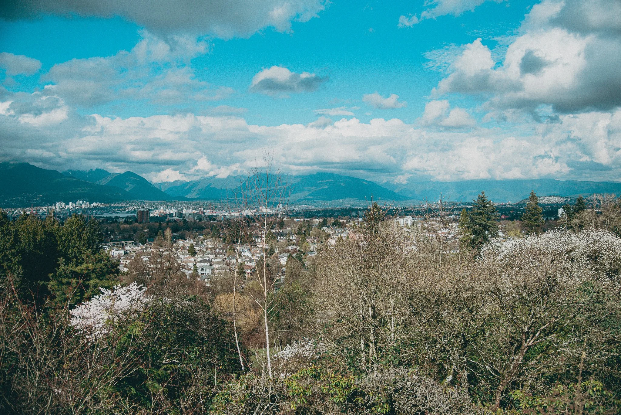 Sun drenched photo of the Vancouver bc skyline from atop a perch.