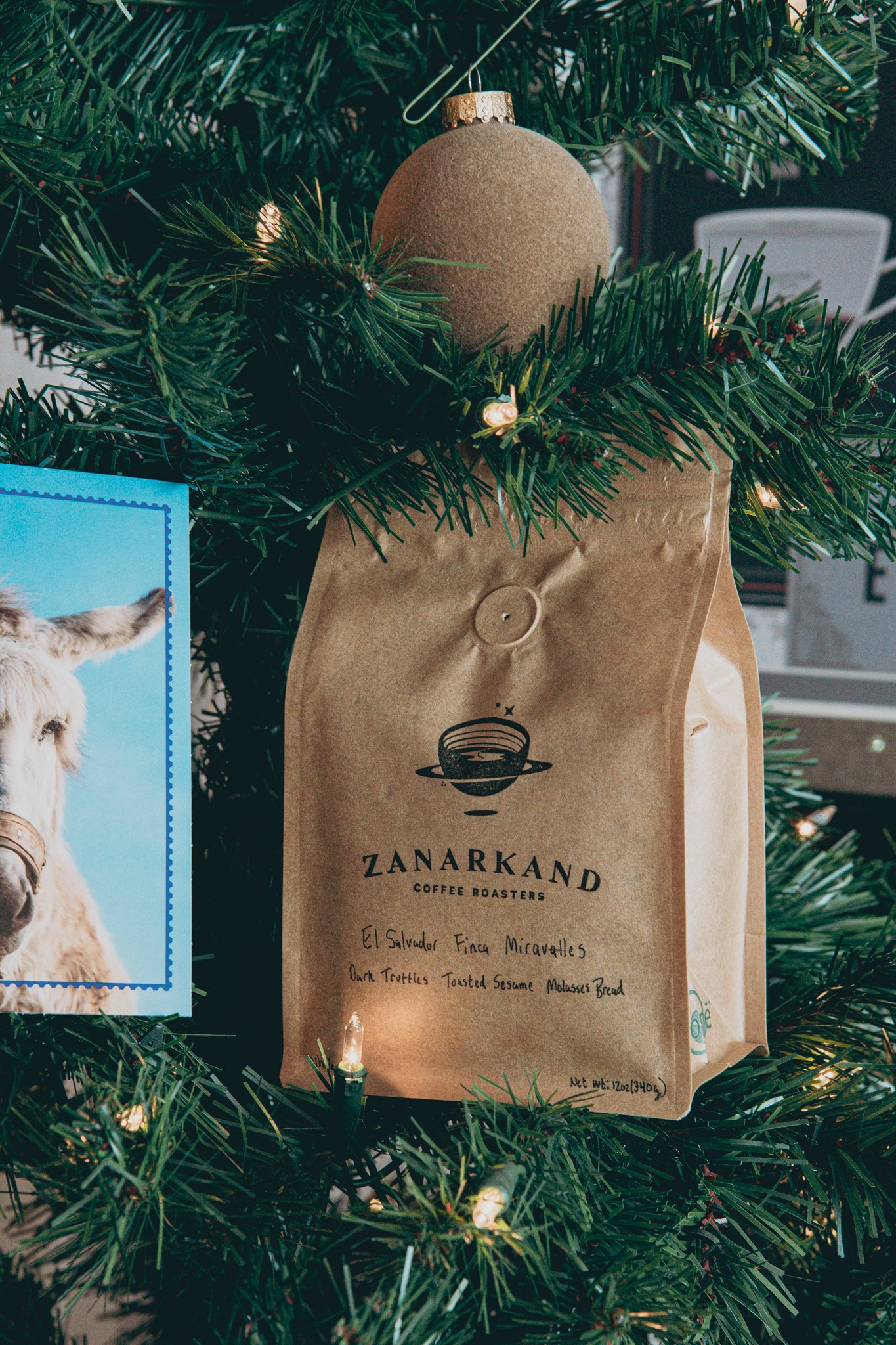 El Salvador Finca Miravalles Castillo