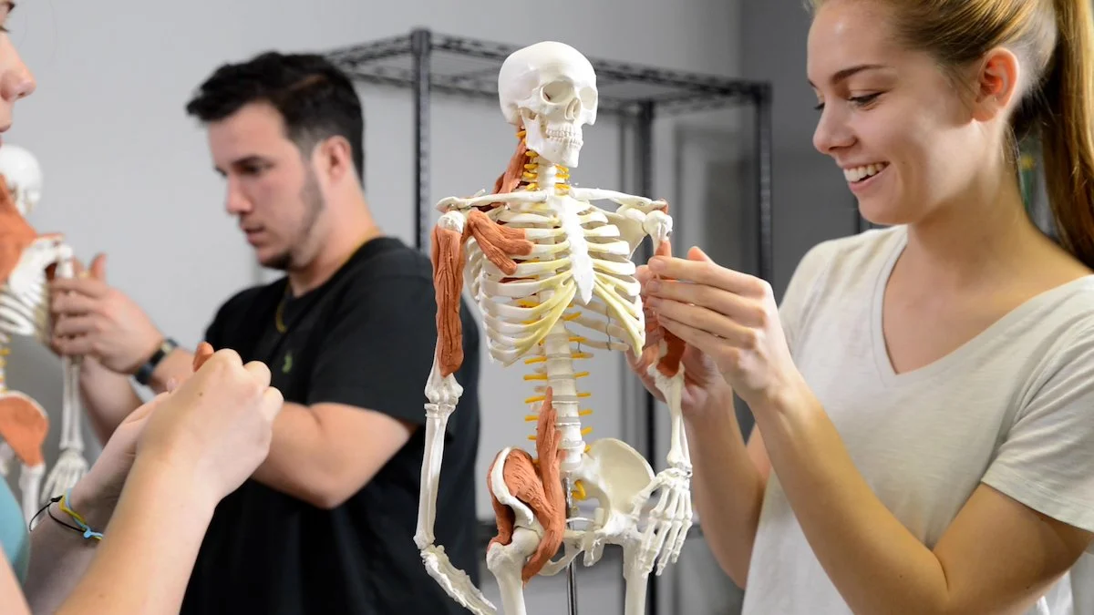 Advanced 3-D Anatomy and Treatment