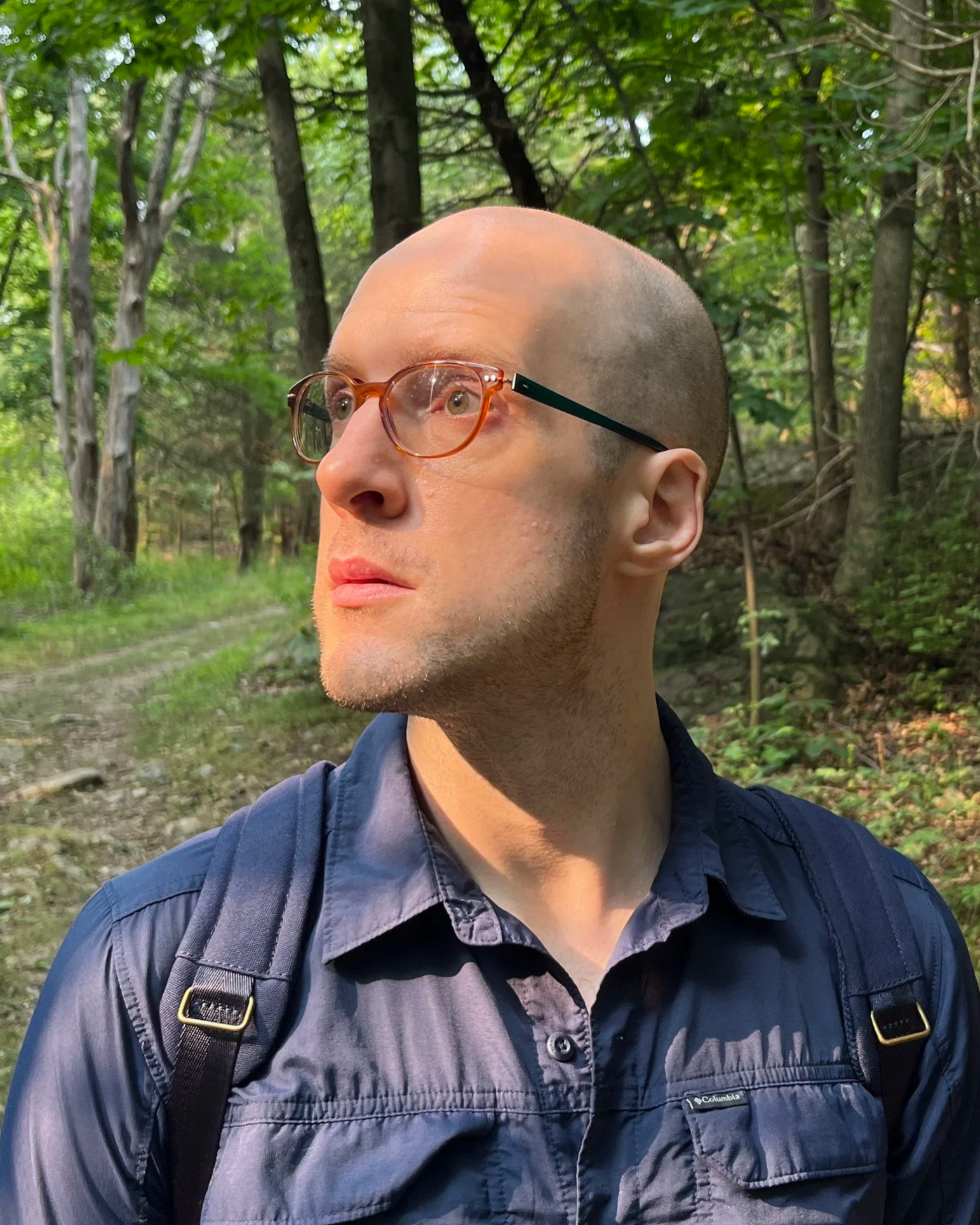 A bald, white man wearing a blue button-down shirt and glasses stands in forest with trees behind him. He is looking away from the camera toward the sky.