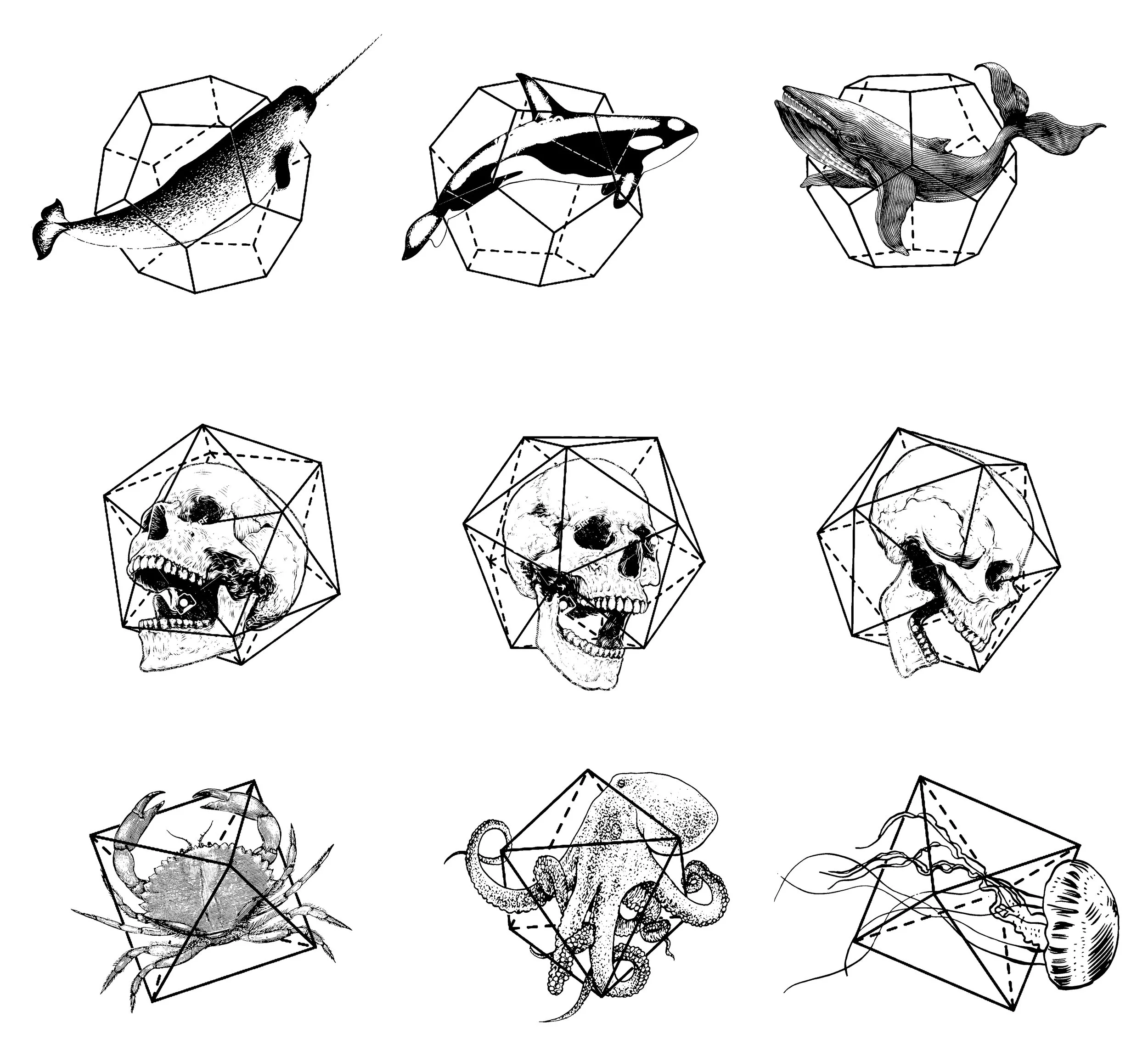 june flash day 2b.jpg