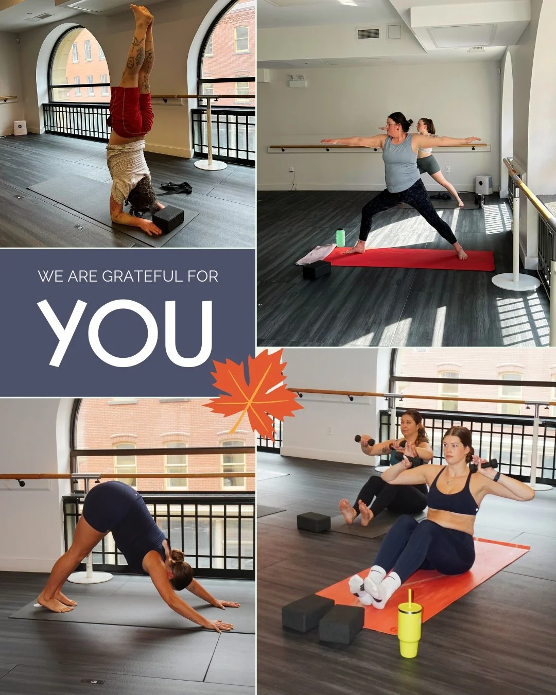 We are grateful for YOU. 🧘‍♀️
Our students and guests are the heart of The Nest. Every smile, every breath, every shared practice creates the community we are so proud to call home.
Thank you for trusting us with your practice and for helping