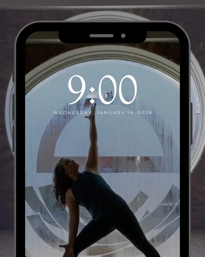 Your spot is waiting. Book in a minute, move your body in an hour. 
Classes are booked through the MINDBODY app.
Search The Nest Yoga Studio, pick your class, and come as you are to land safely on your mat. 
Booking is also available via the links in