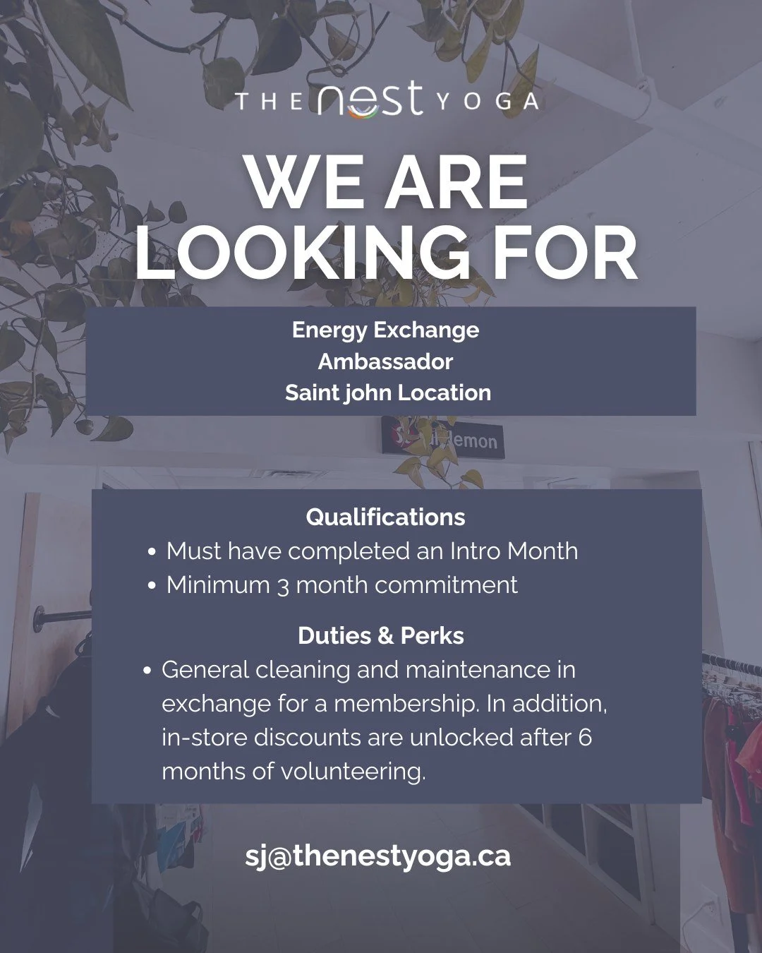 Hello Nesties! 🧘&zwj;♀️✨

We&rsquo;re looking for an Energy Exchange (EE) Ambassador! 💫
🌿 3 hours per week (lots of flexibility)
🌿 Support the studio &amp; be part of our community

Love our space and want to give back? 🤍
Or know someone that wo
