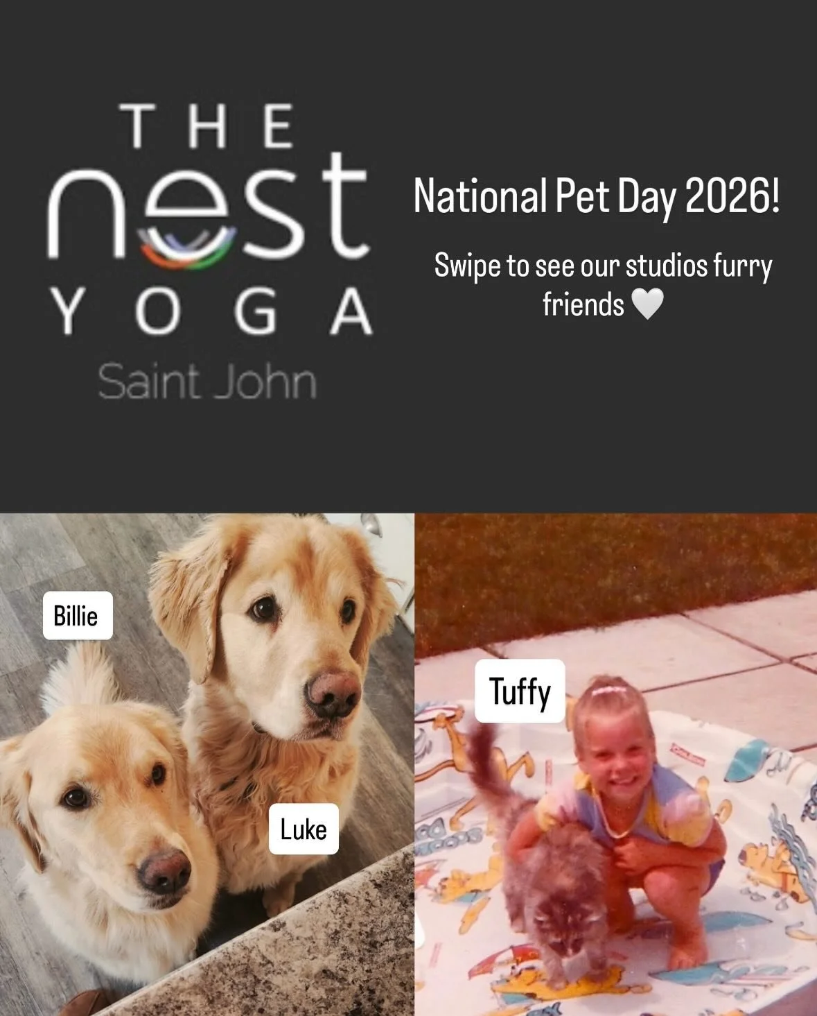 From our fur family to yours, happy National Pet Day!  #thenestyogasaintjohn #nationalpetday #thenestyoga