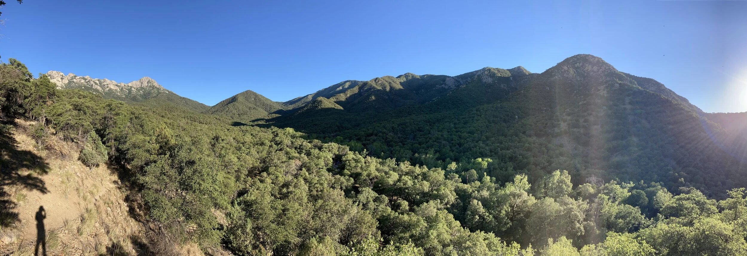 Madera Canyon south of Tucson. 