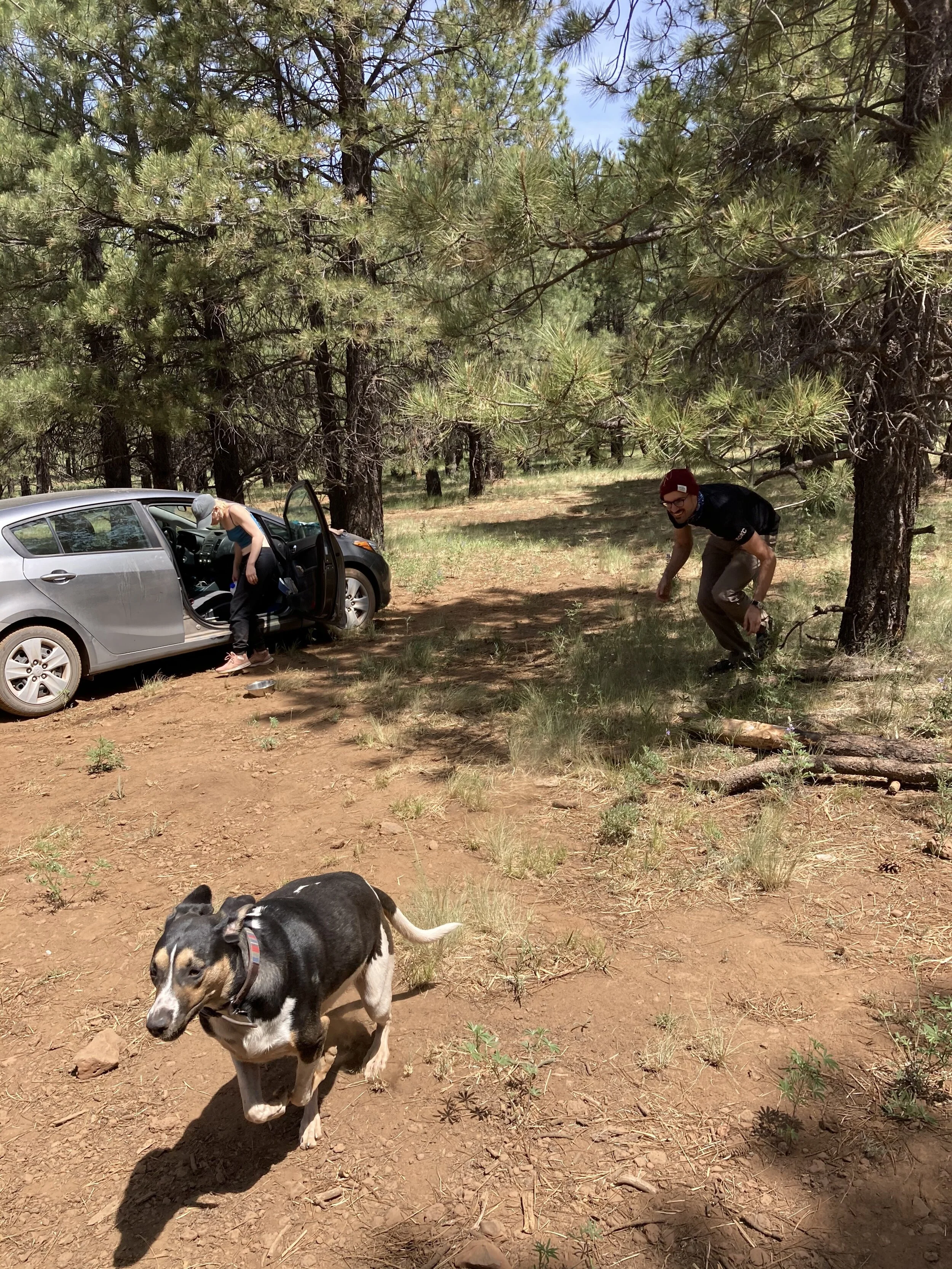 Tiring out Honda for the drive home from Flagstaff. 