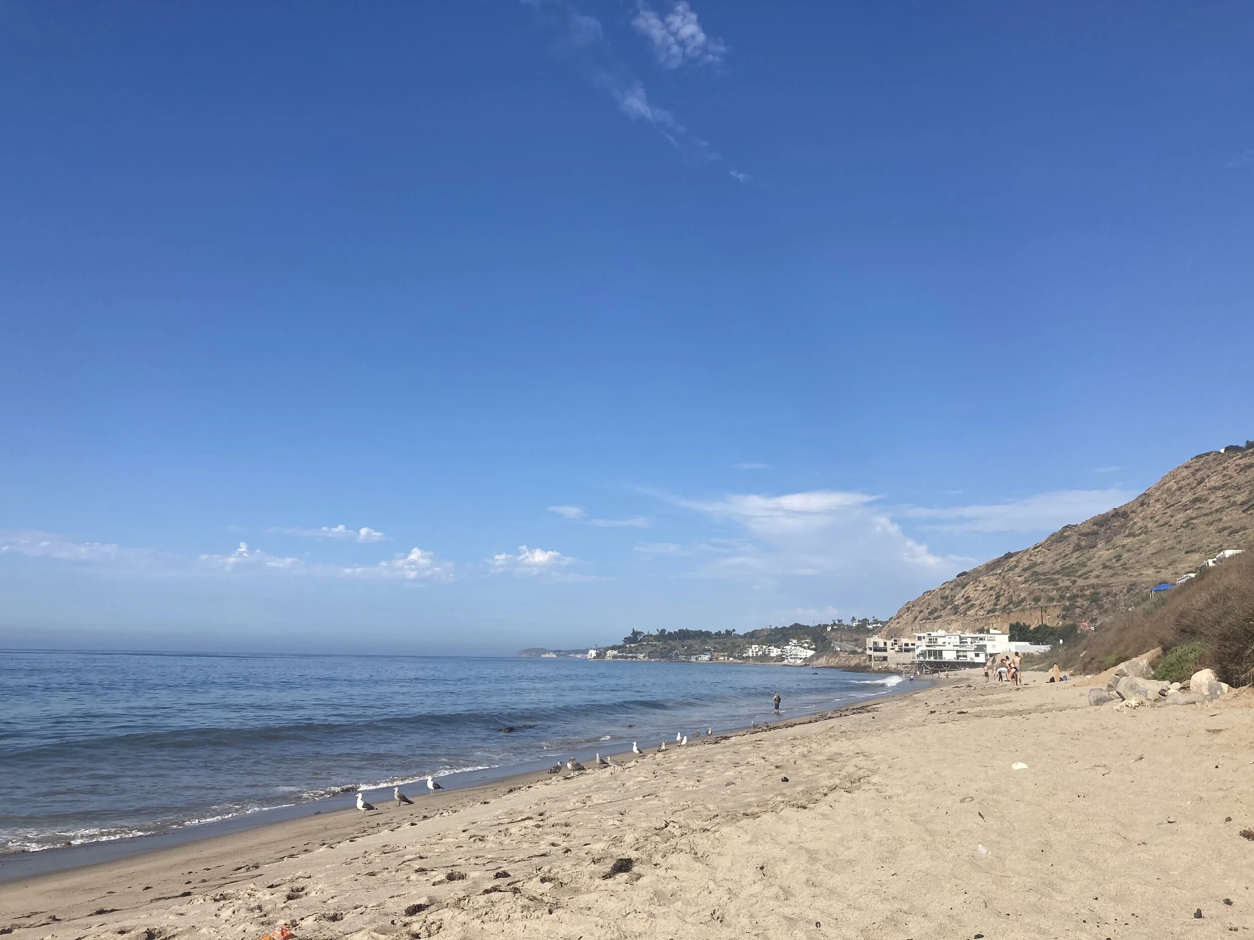 Malibu mornings. 