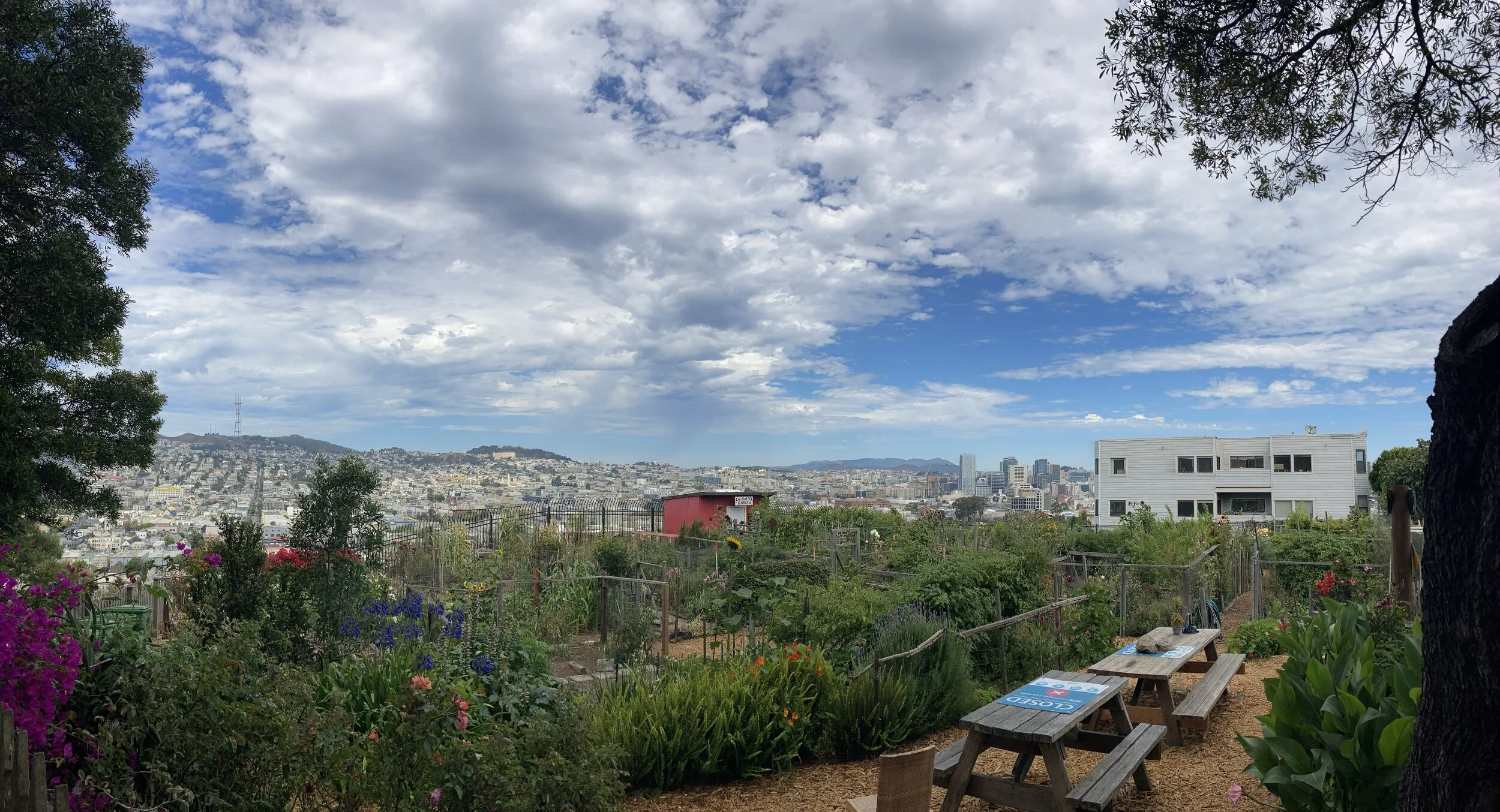 Potrero Hill Community Garden in San Fransisco. 