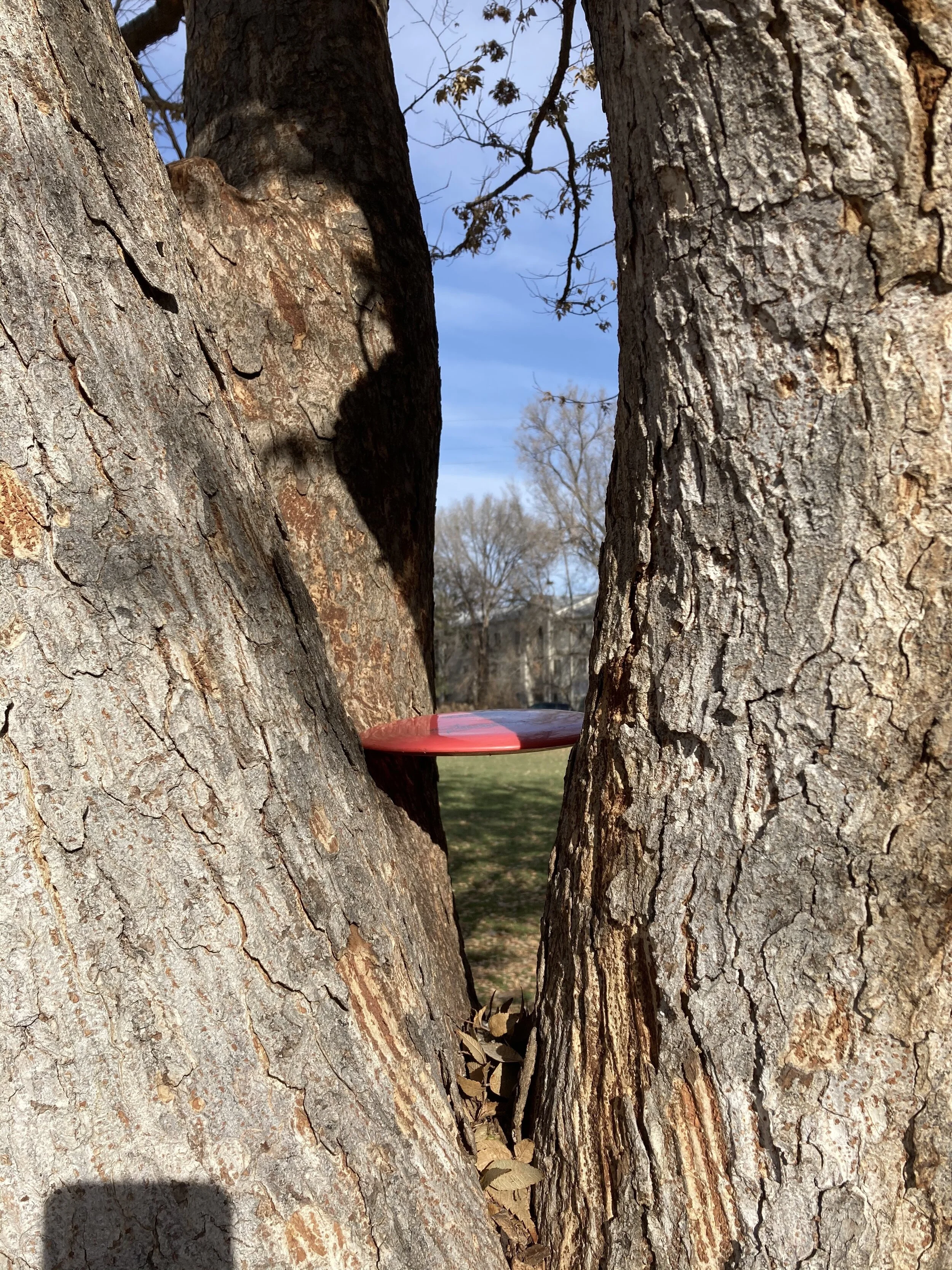 The sidewinder getting stuck in a tree off the drive. 