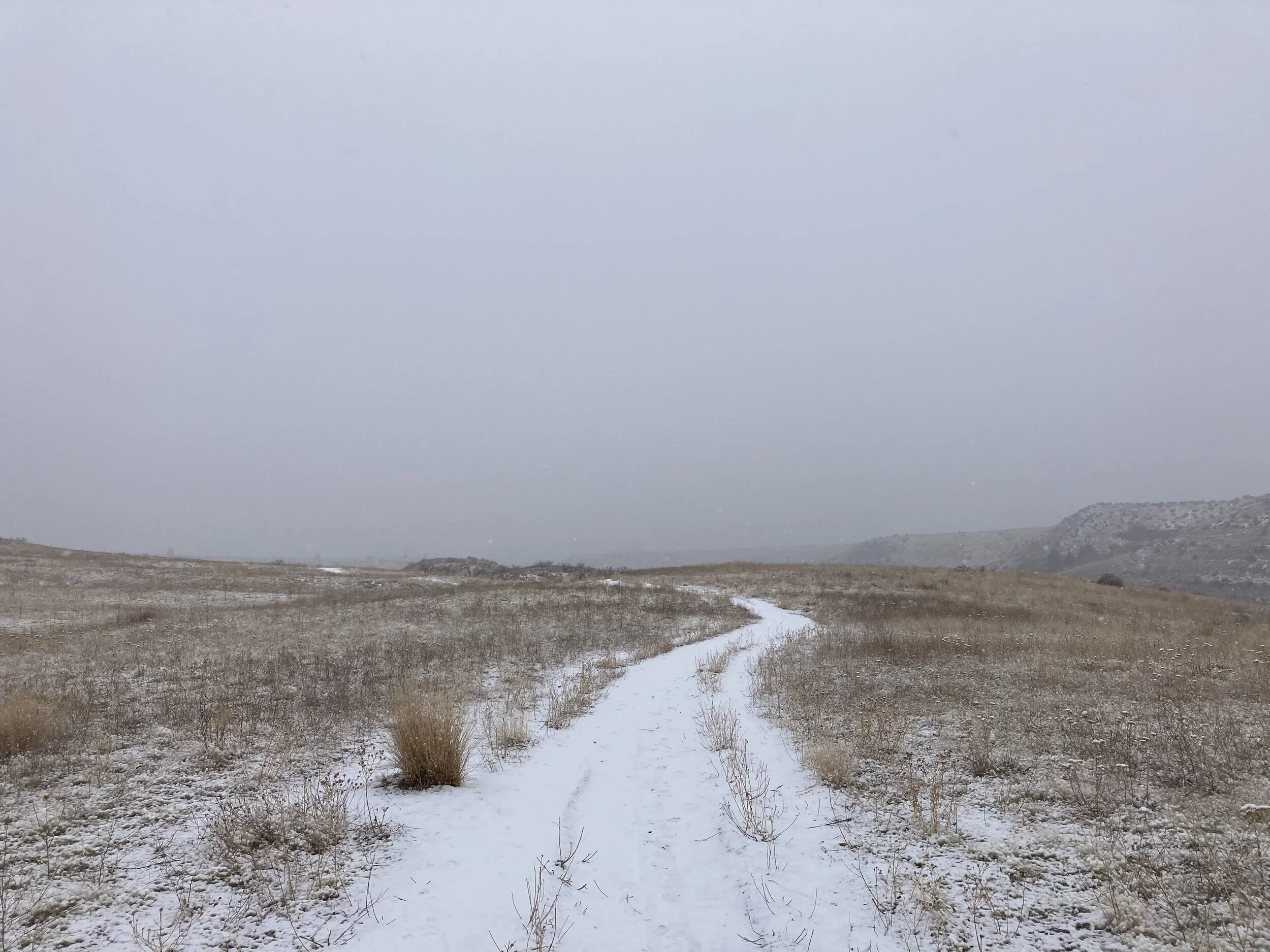 New Years Eve snowfall in Boise. 