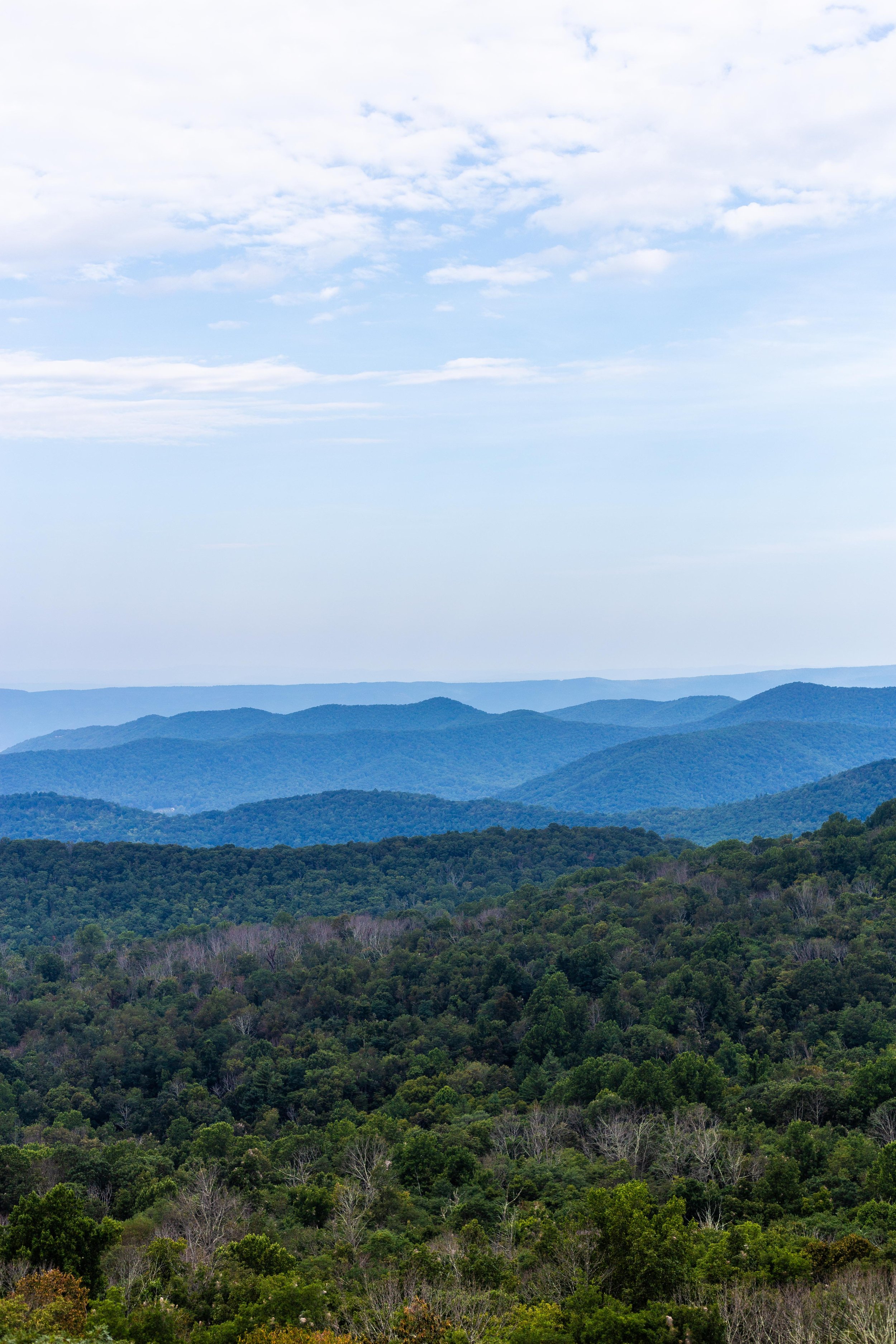Shenandoah NP-3.jpg