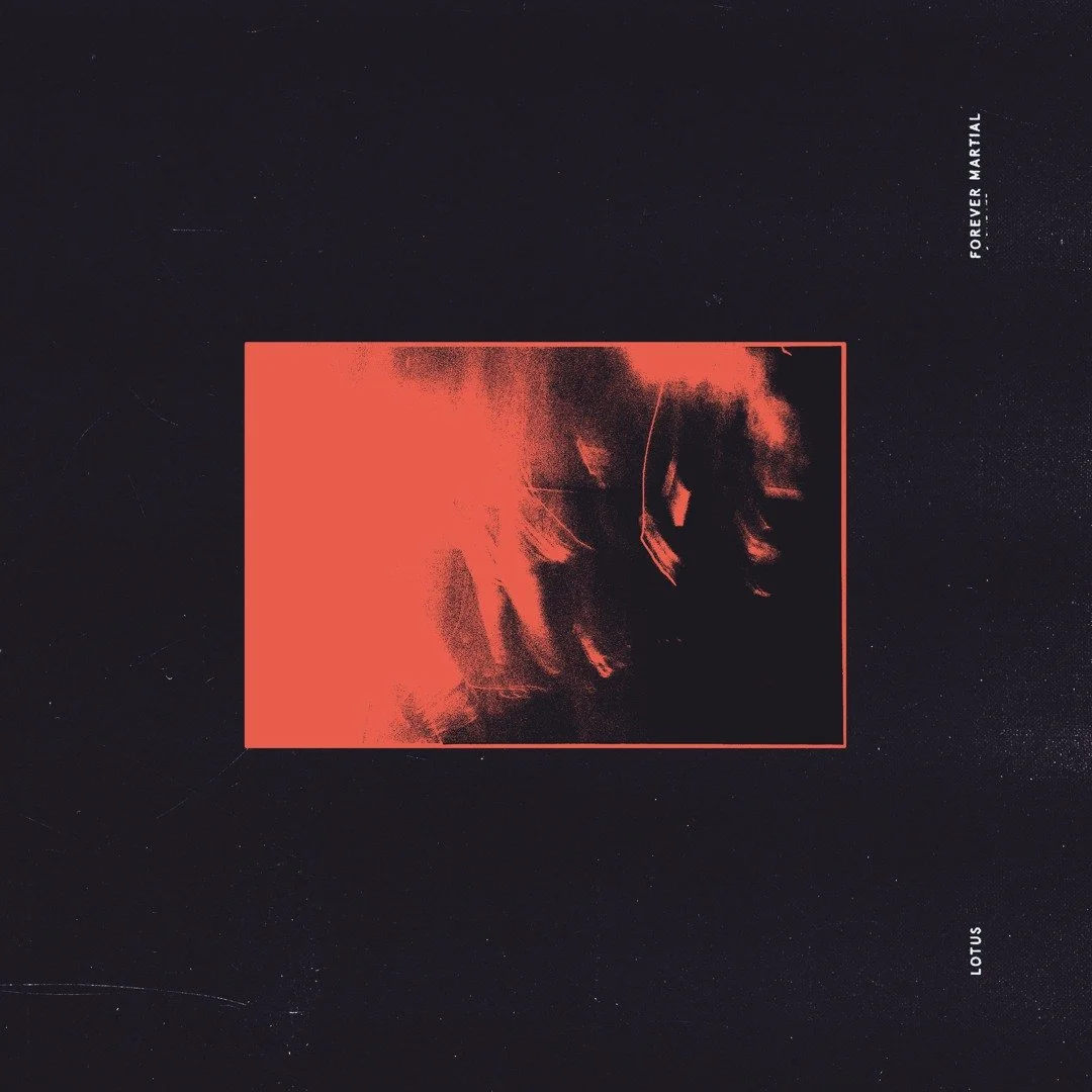 LOTUS DROP BLISTERING HARDCORE PUNK RAGER TITLED “HAUNTED LIKE A HOUSE”