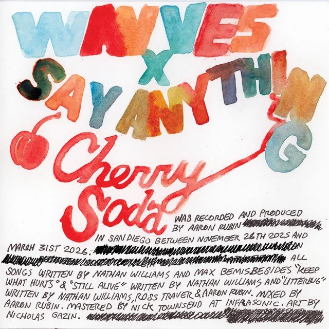 WAVVES X SAY ANYTHING DROP STUNNING PUNK COLLAB “DEATHX1K”