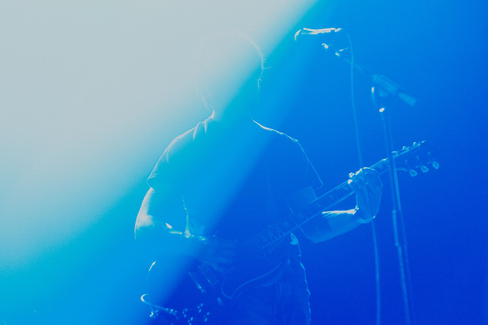 NN0_6694.jpg