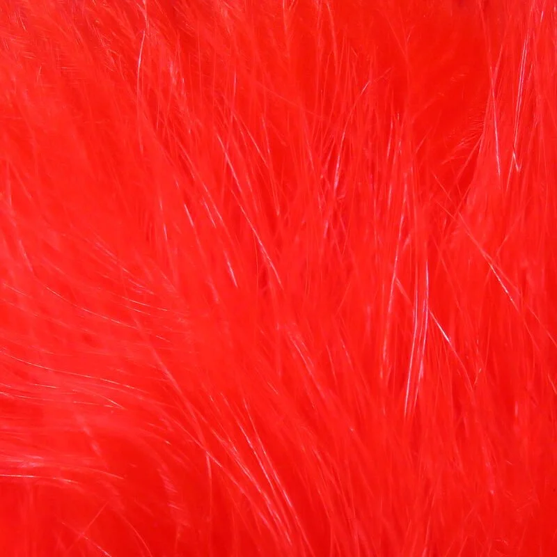 fl red.jpg