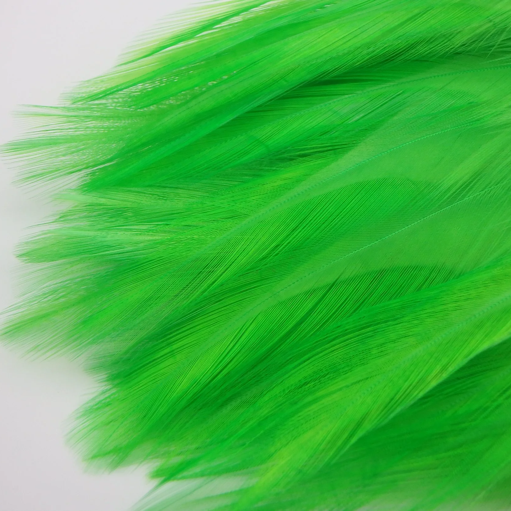 P4281400.png