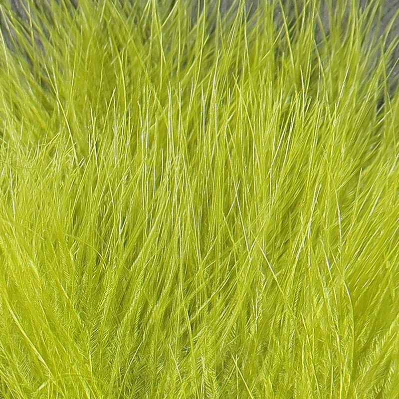 olive.jpg