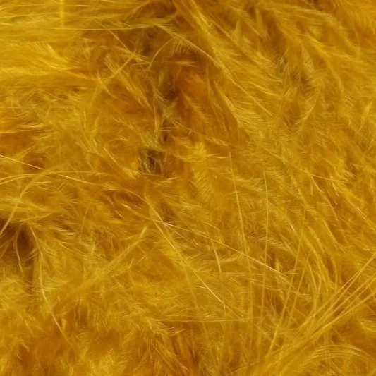 golden+olive.jpg