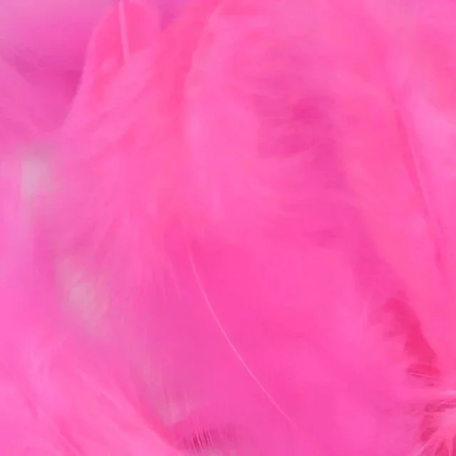 hot+pink.jpg