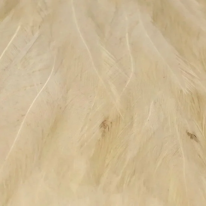 cream.jpg