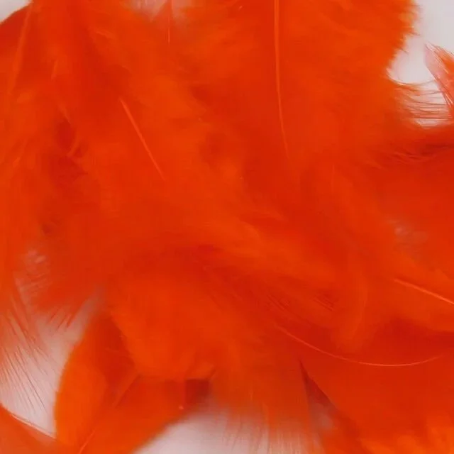 hot+orange.jpg