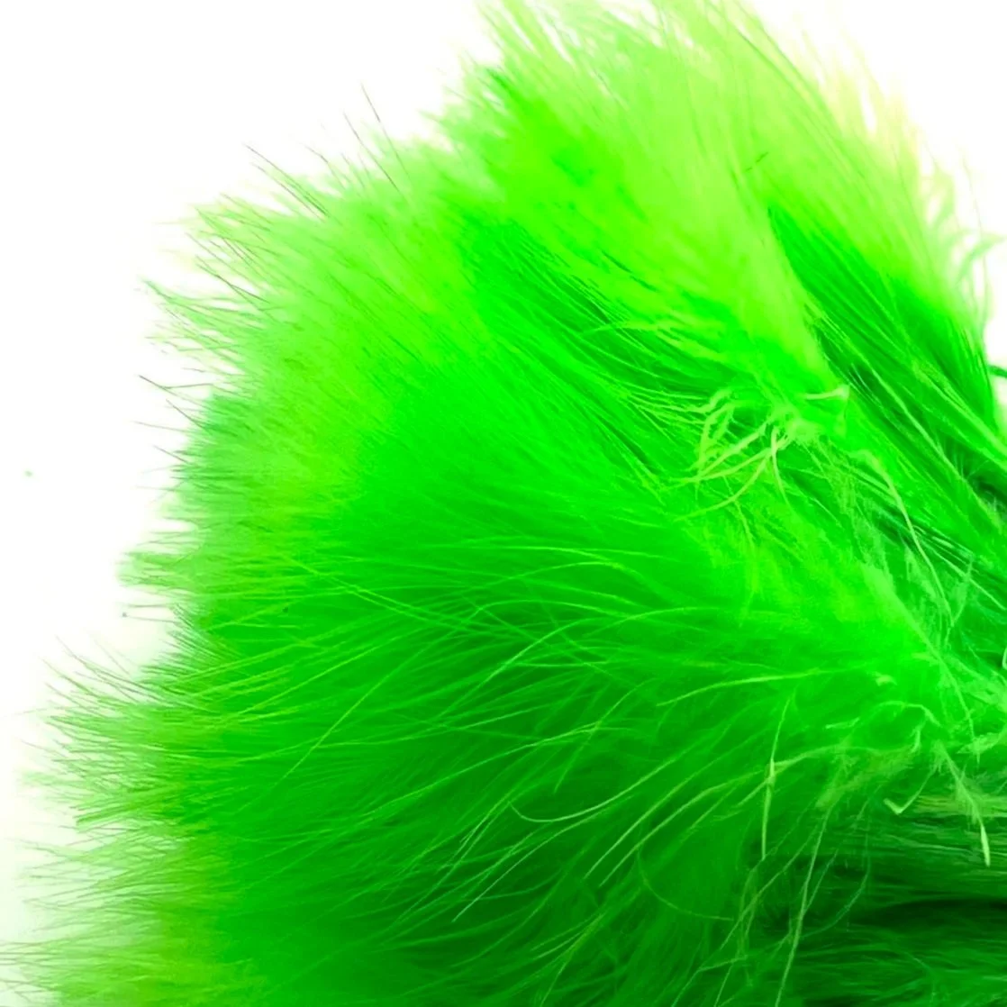fl+chartreuse.jpg
