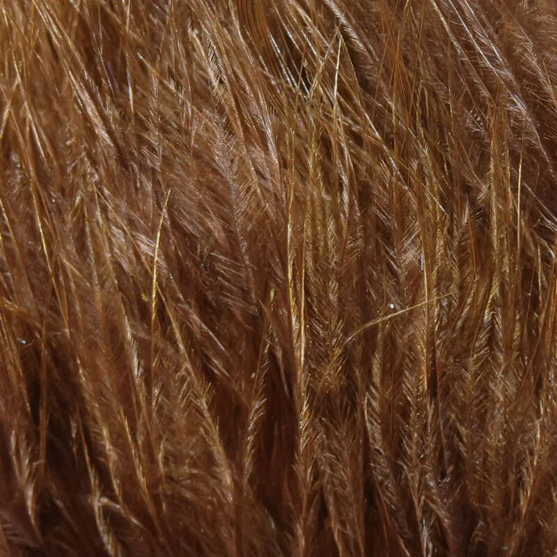 brown.jpg