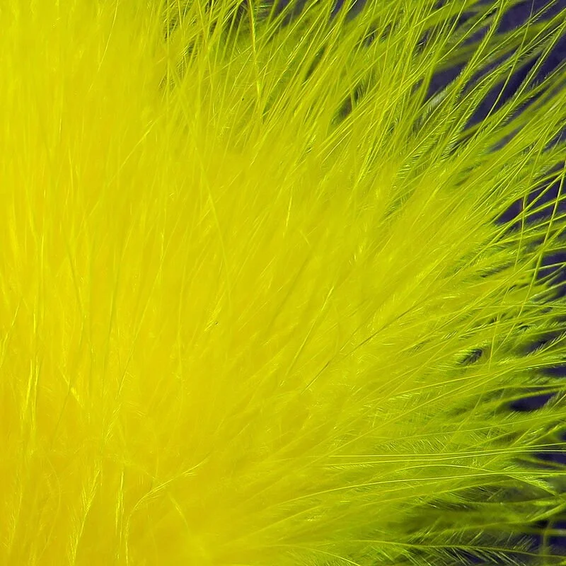 yellow.jpg